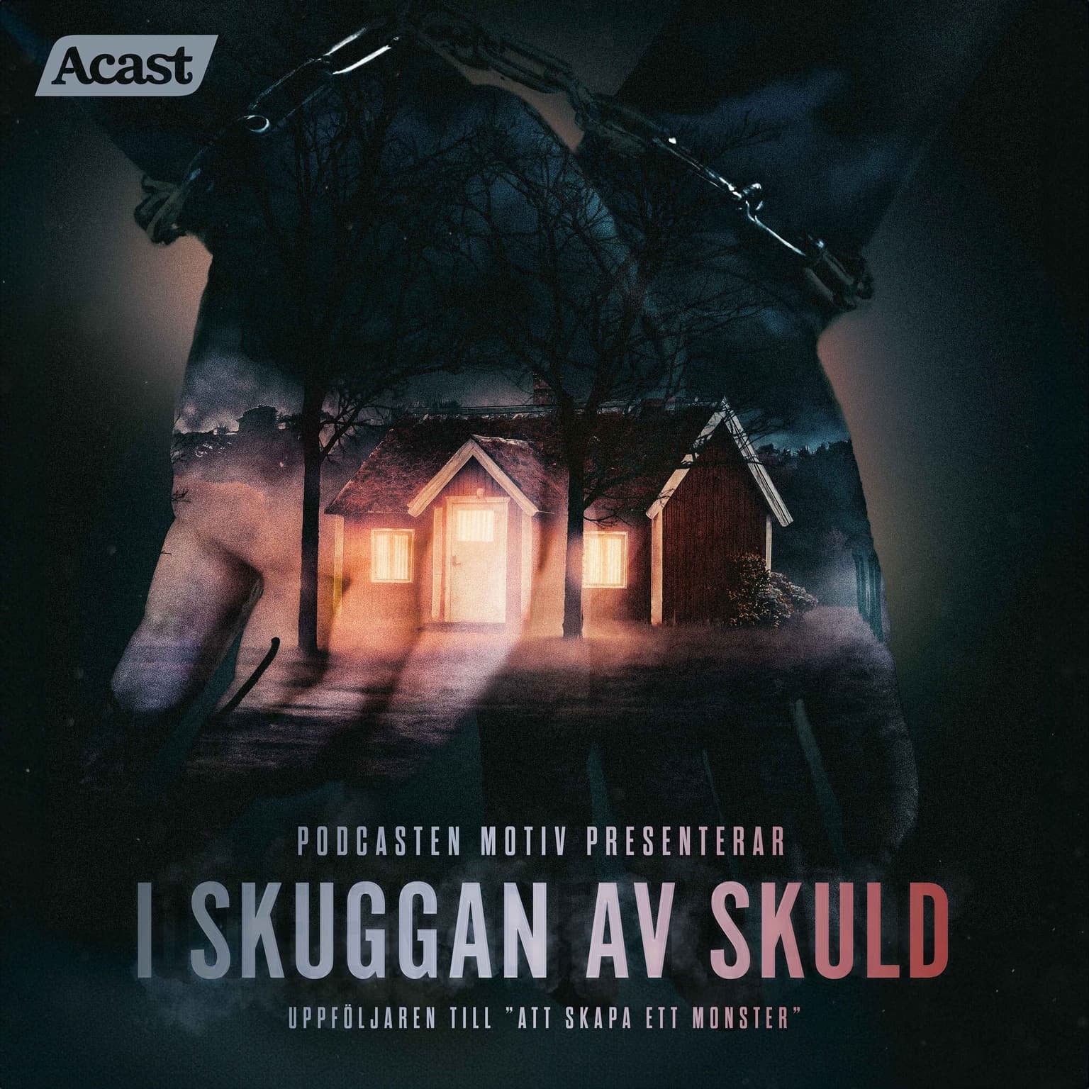 I skuggan av skuld - Del 1/6 "Det första kritiska dygnet" artwork