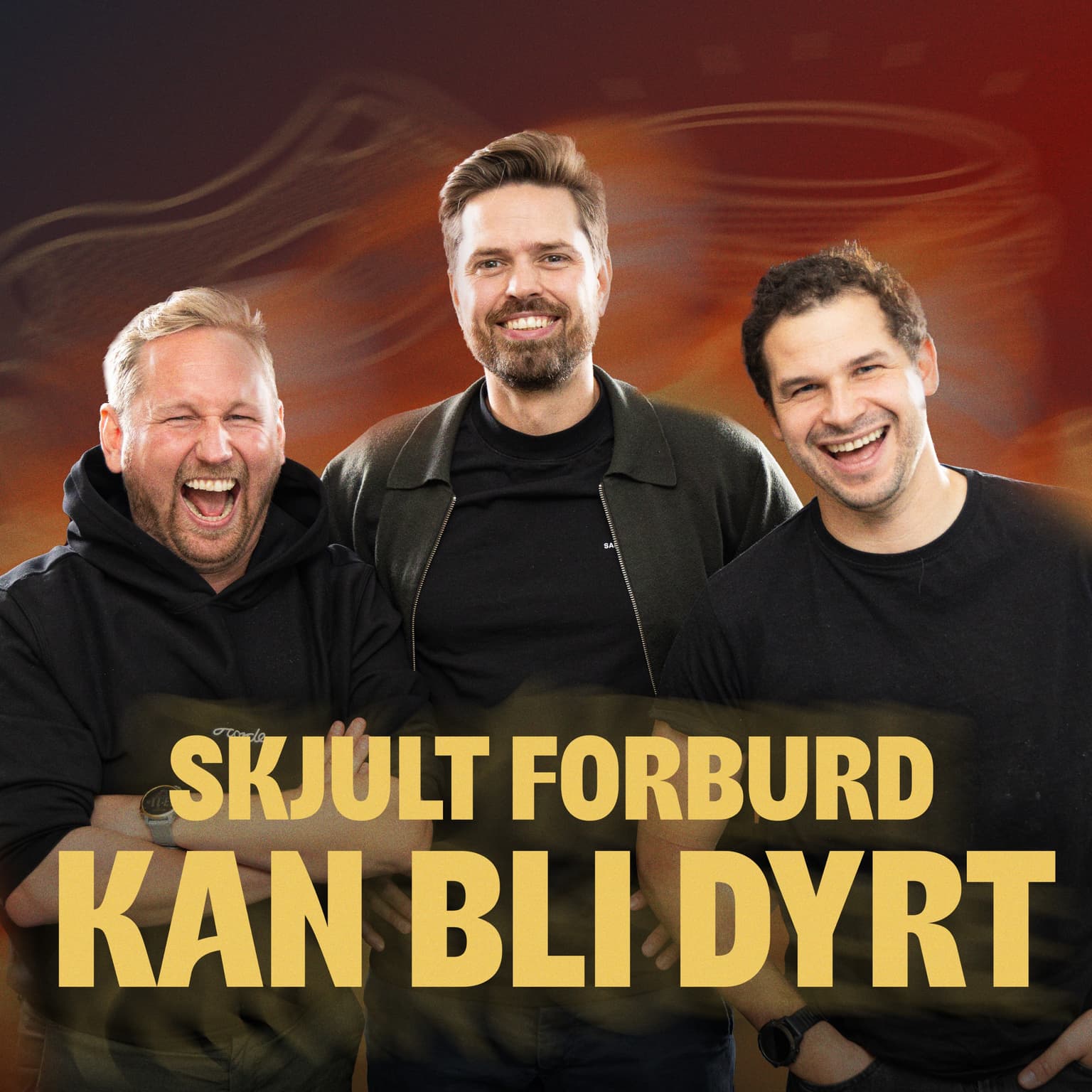 224 - Skjult forbud vil gi dårlig oversikt og dyrere lån artwork
