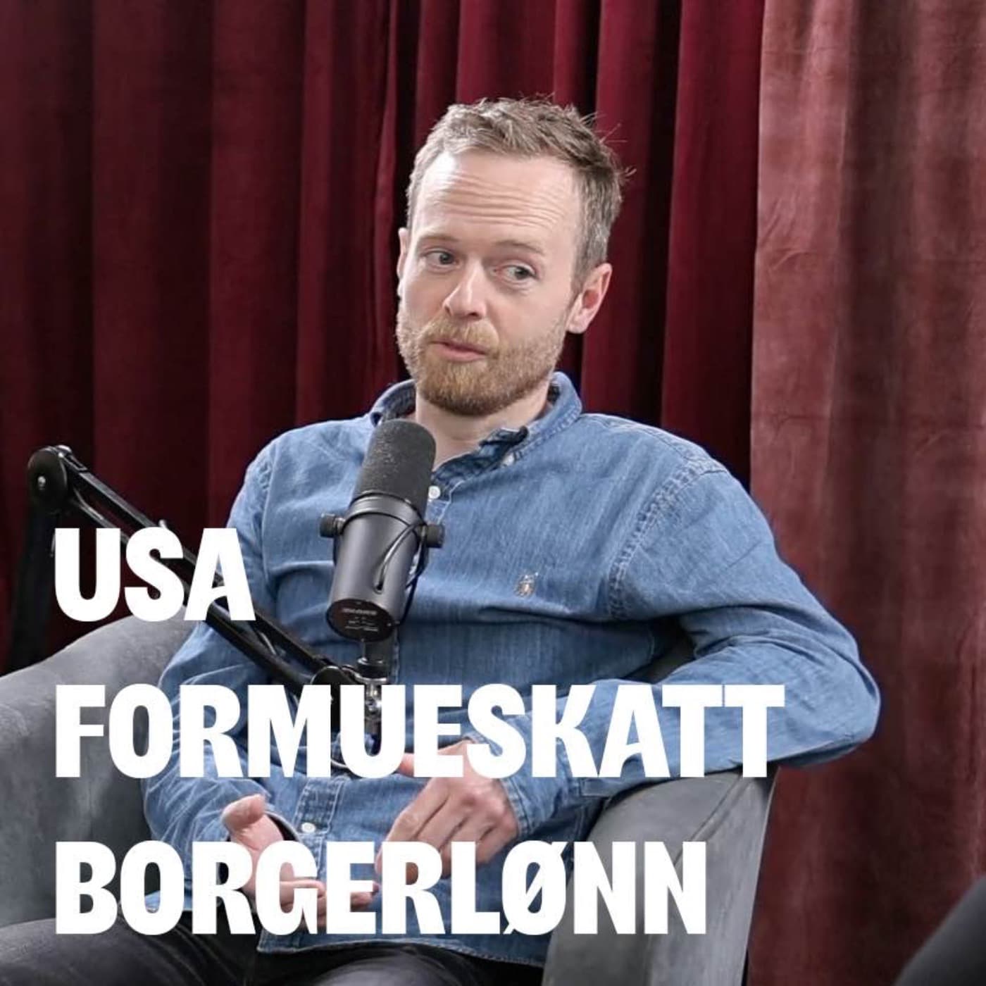 183 - USA valget, formuesskatt og borgerlønn artwork
