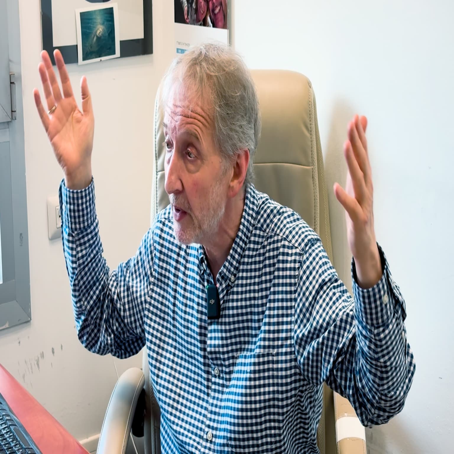 David Horovitz: on Politics in Israel artwork