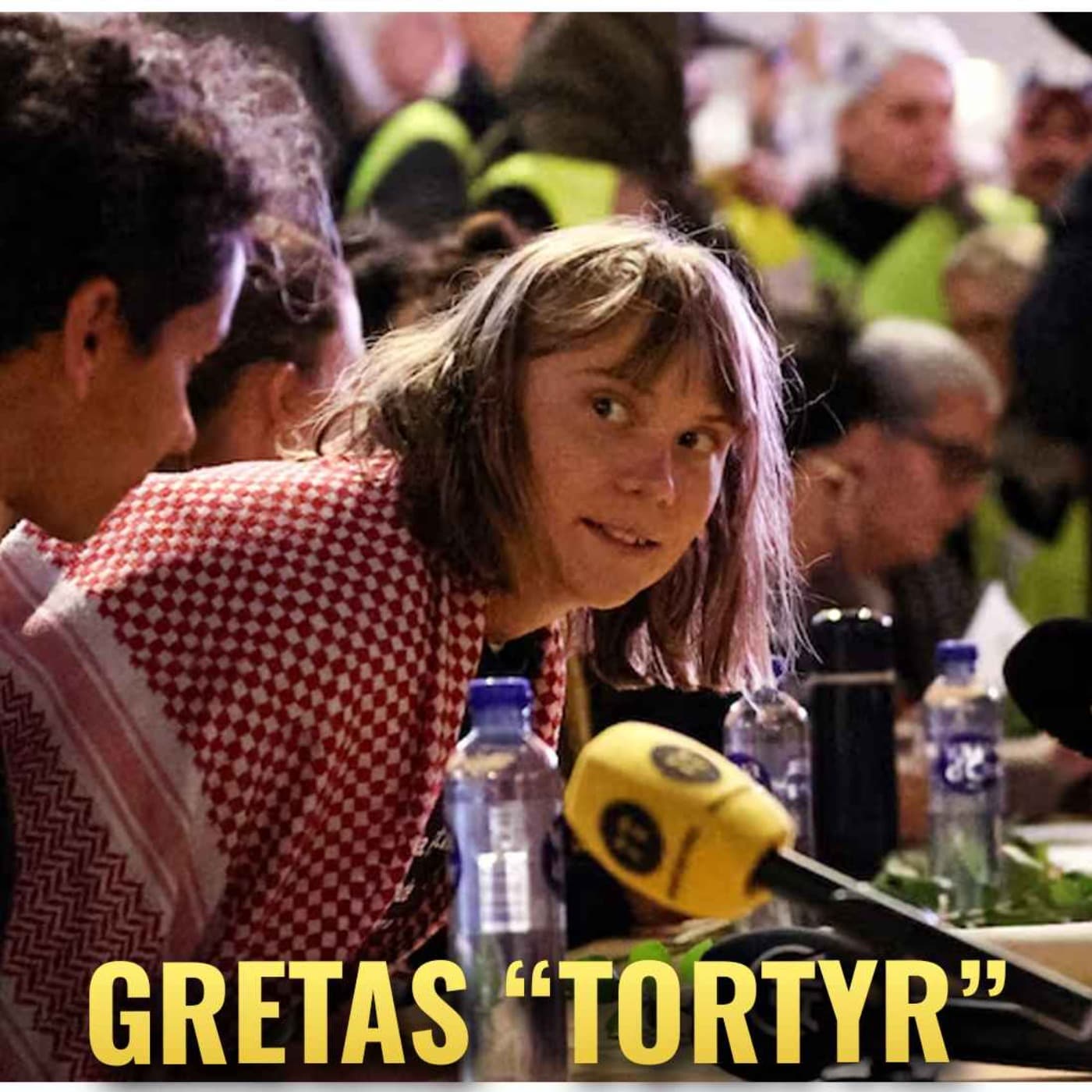 Israel har torterat Greta Thunberg - frågor på det? artwork