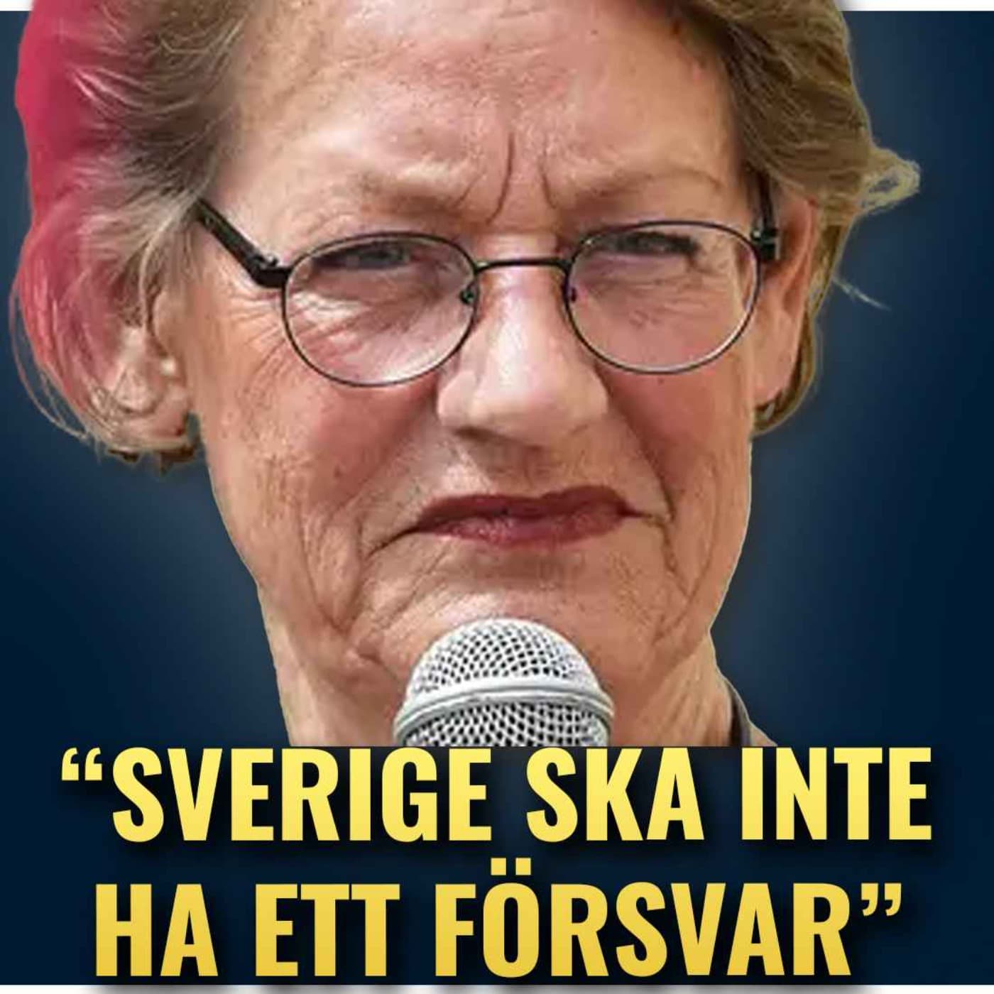 - Vi behöver inget försvar!, Gudrun Schyman artwork