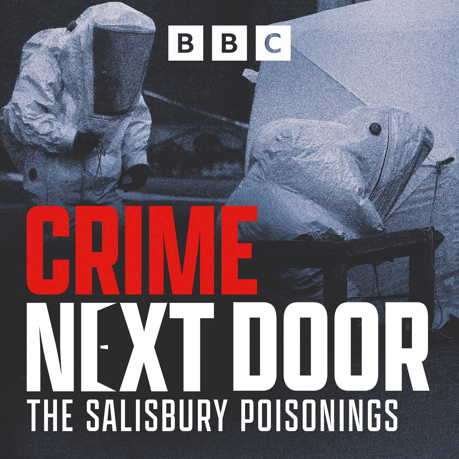The Salisbury Poisonings: 19. The Closing Statements artwork