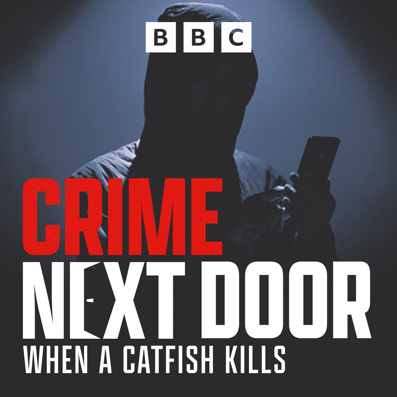 When a Catfish Kills: 8. Not Alone artwork