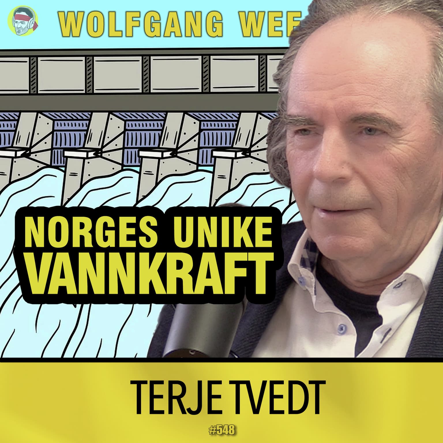 Terje Tvedt | Norsk Energipolitikk, Utenlandskablene, Strømprisene, Det Grønne Skiftet, Statnett artwork
