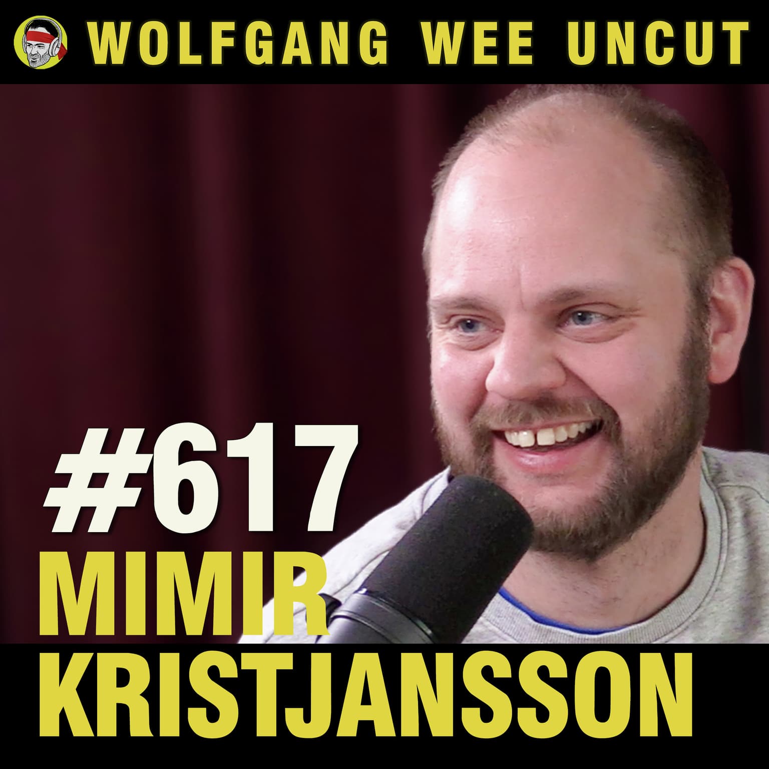 #617 - Mimir Kristjansson | Offentlig Sløsing, Formuesskatt, Luzern artwork