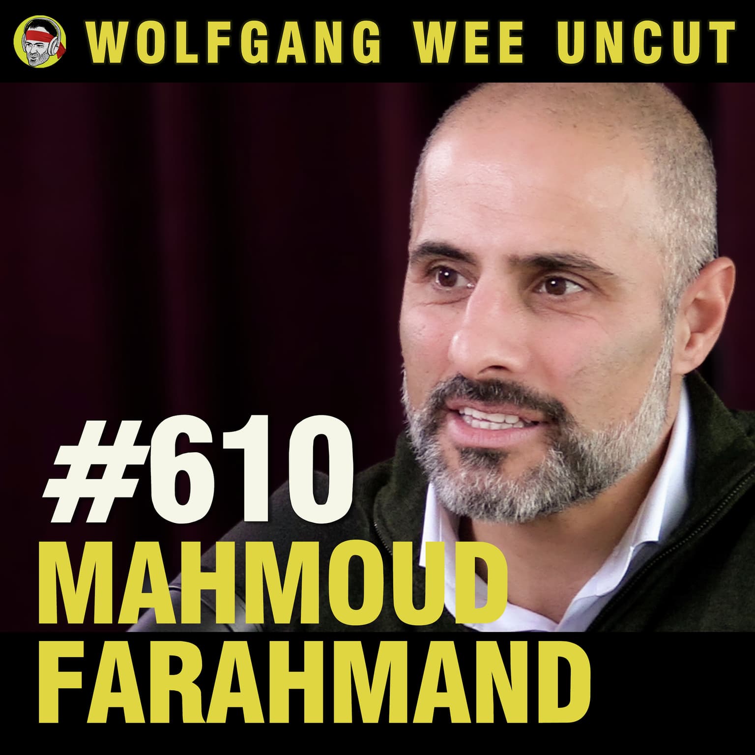 #610 - Mahmoud Farahmand artwork