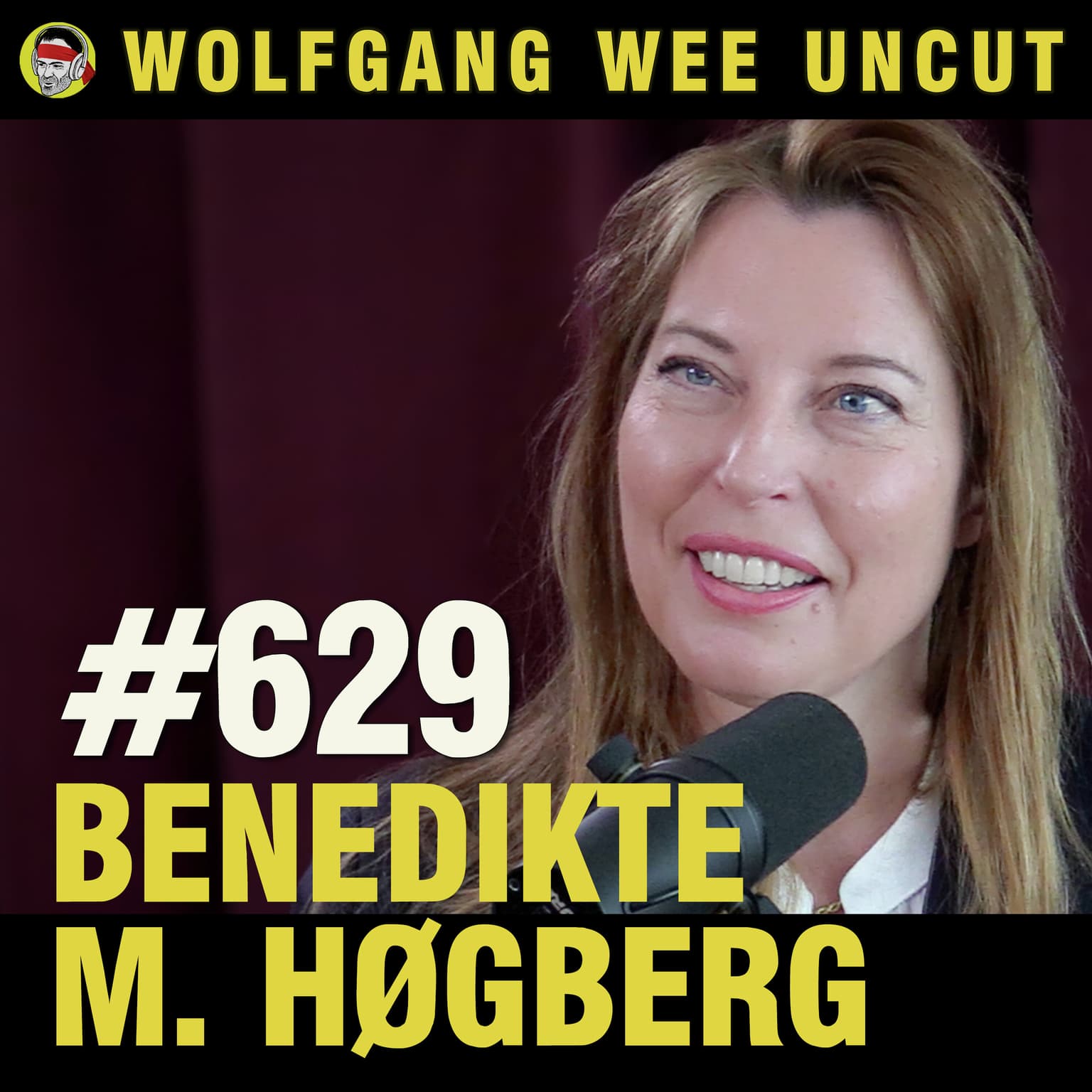 #629 - Benedikte Moltumyr Høgberg | KRISELOVEN (Sivilbeskyttelsesloven) artwork