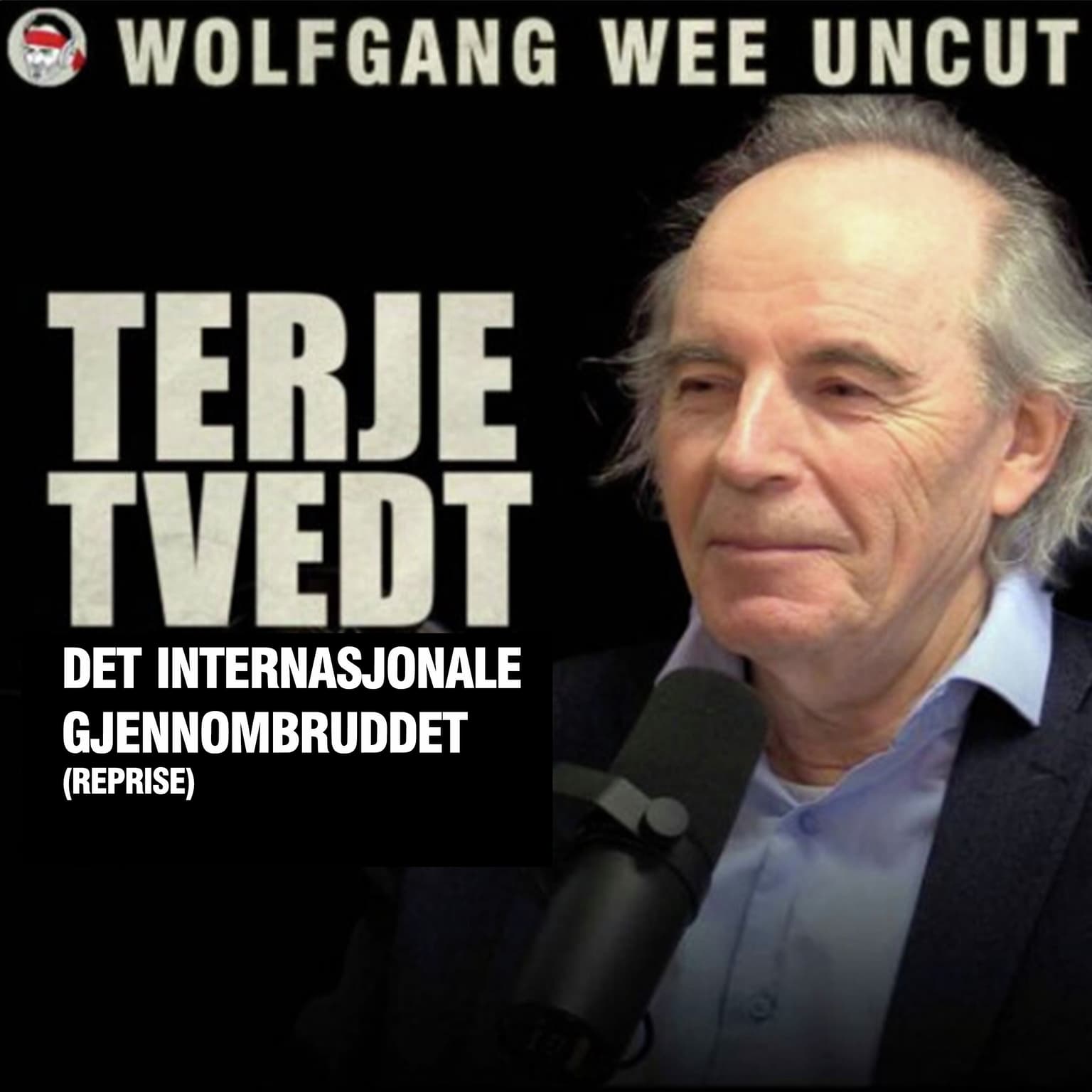 Terje Tvedt | Det Internasjonale Gjennombruddet: Det Norske Godhetstyranniet, Bistand, UD, NGO-er, Det Humanitærpolitiske Kompleks, Libya (Reprise fra 2022) artwork