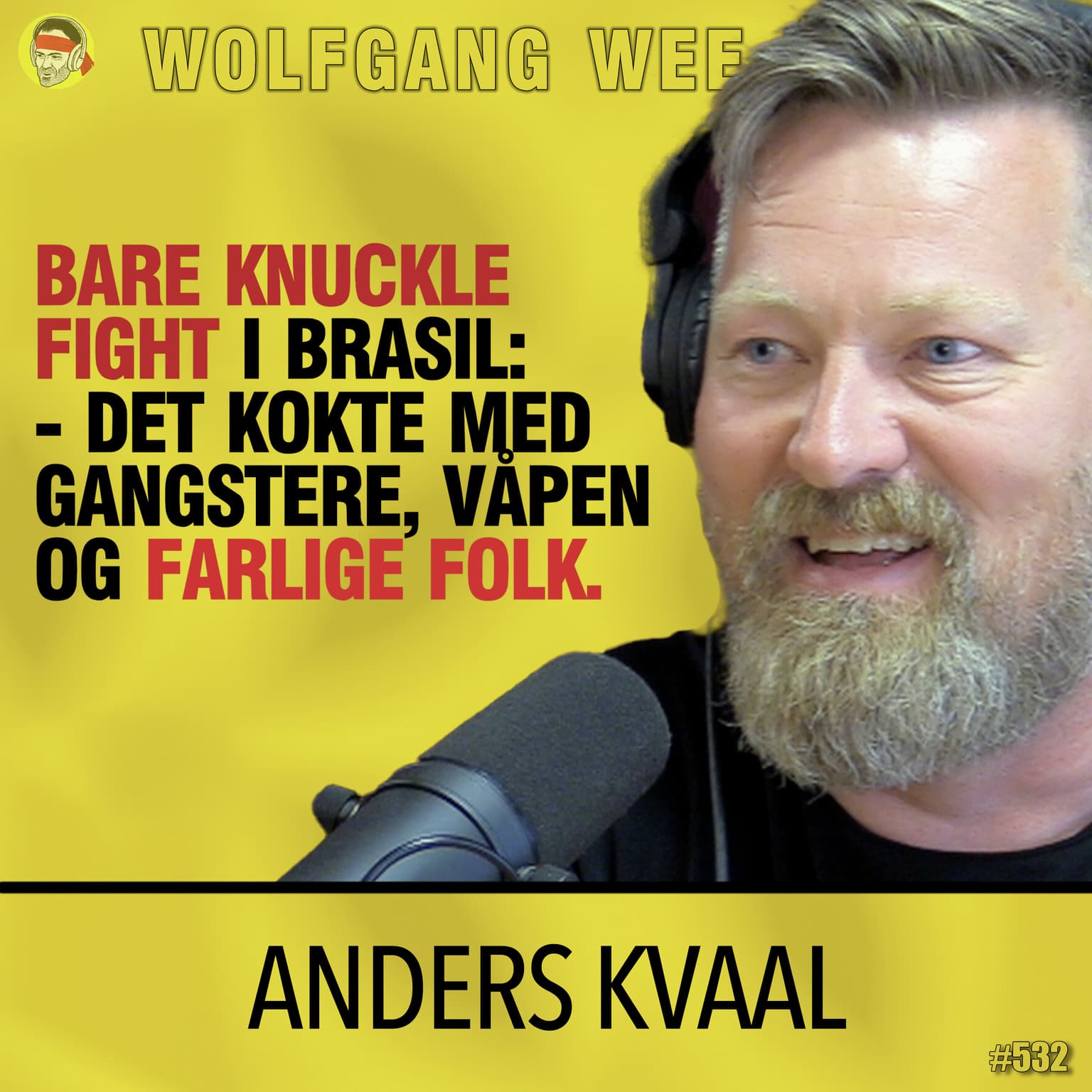 Anders Kvaal | MMA, Ulv, Rus og Dop, Kampsport i Norge, Vale Tudo, Jiu-jitsu, UFC, Sigøyner-fights, Bare Knuckle, Mike Tyson vs Jake Paul artwork