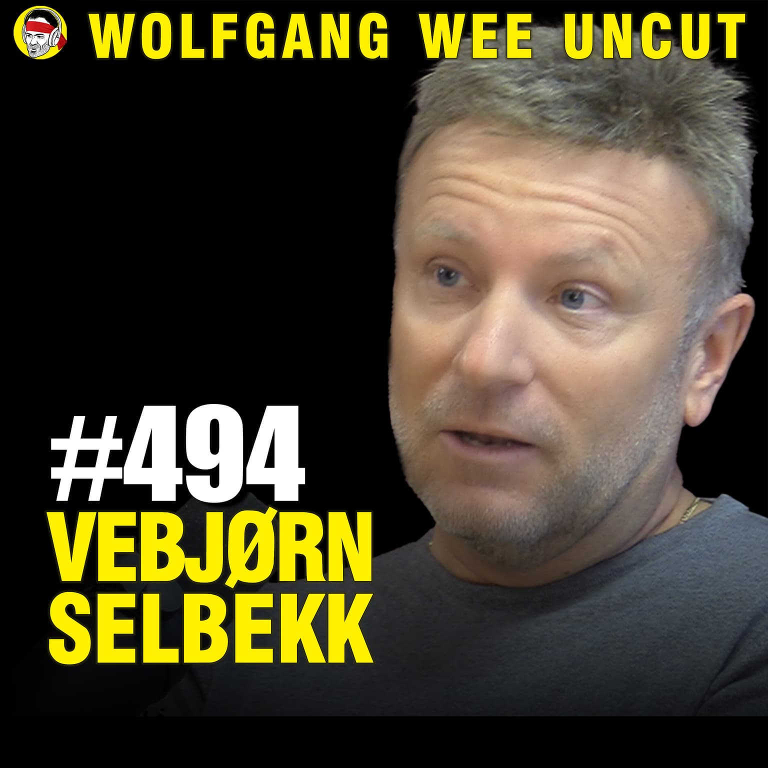 Vebjørn Selbekk | Israel / Hamas / Palestina, Fallende Fødselstall, Jødehat, Selbekks Aner Fra DDR, Karikaturtegningene, Kastet Under Bussen Av Stoltenberg og Støre, Koranbrenning artwork