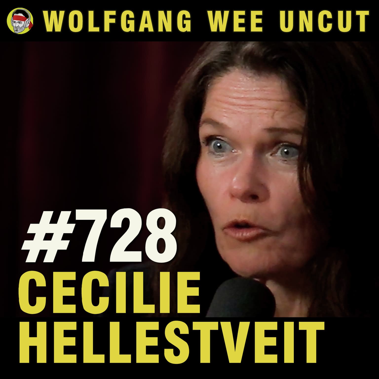 #728 - Cecilie Hellestveit | Venezuela, Grønland, AI-kappløpet, Slutten på det åpne internett artwork