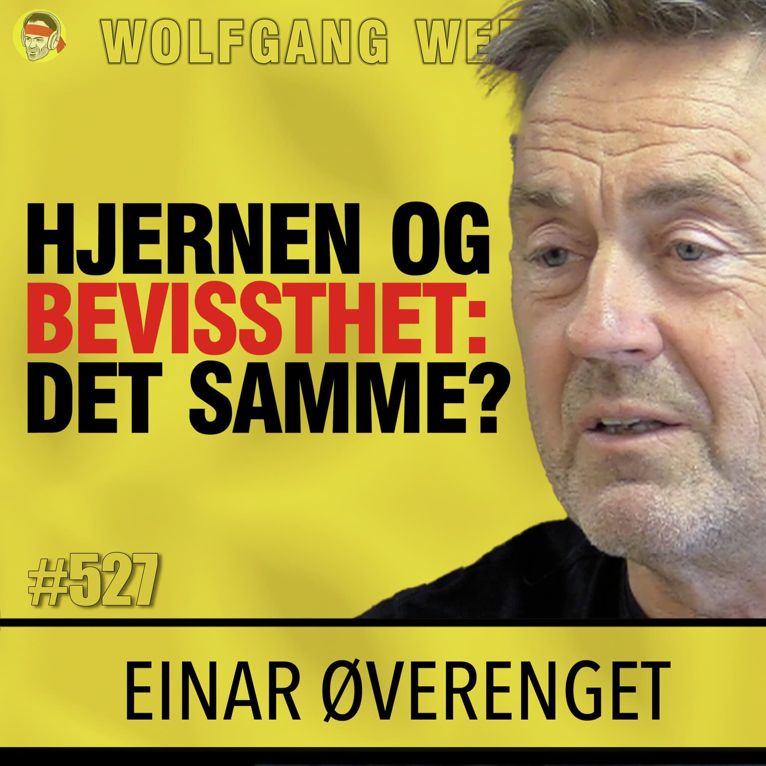 Einar Øverenget | Filosofi S3E05 | MATERIALISME | Bevissthet, Marx, Atomistene, Determinisme artwork