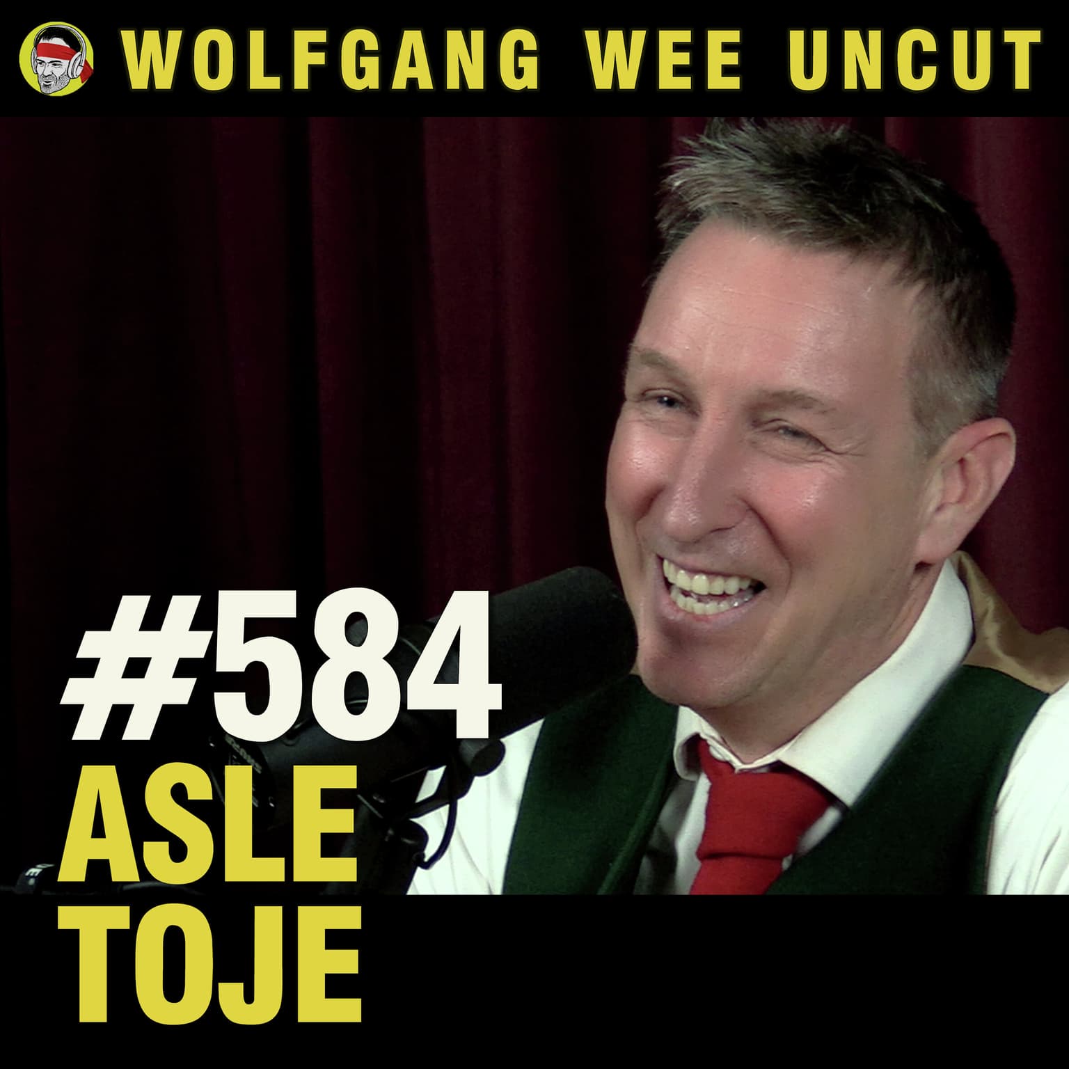 Asle Toje | Året 2024 - En Storpolitisk Årskavalkade artwork