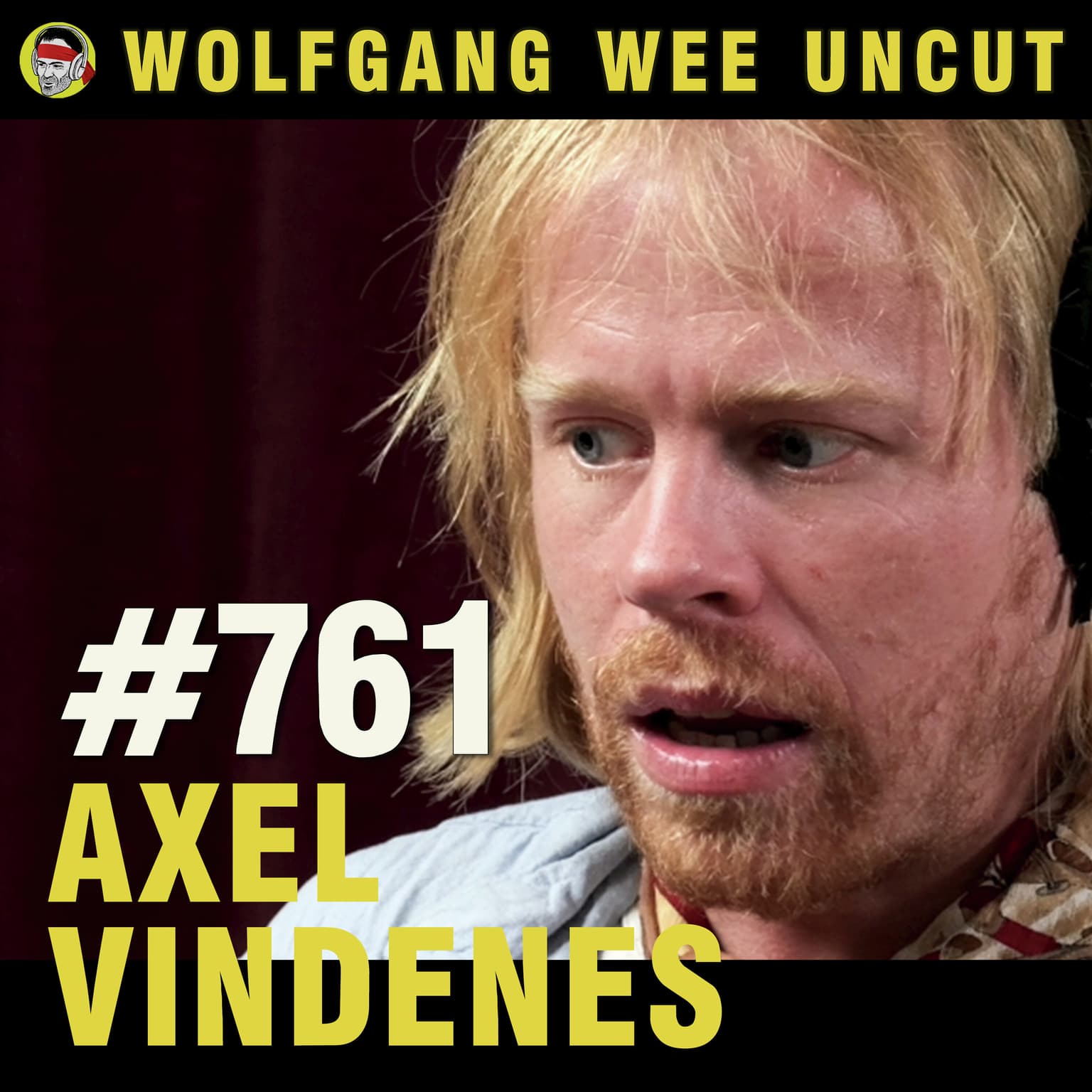 #761 - Axel Vindenes | Epstein & Den Dype Staten (Svenske Sausen), Wallenberg, Hemmelige ordener,Flat Earth, Drager, Arkitekturopprøret, Antarktis, Tartaria,Fake Panda, Nummerologi artwork