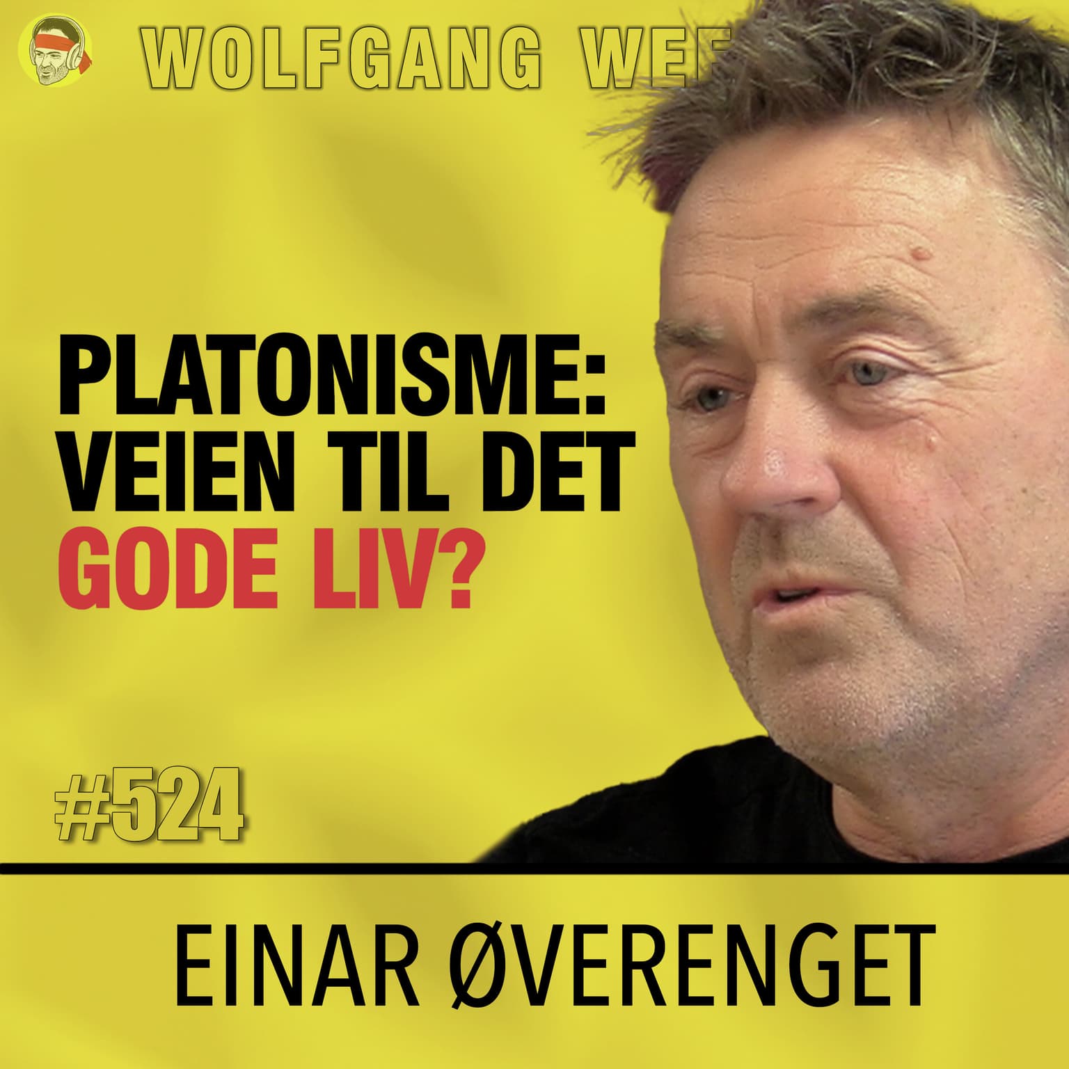 Einar Øverenget | Filosofi S3E02 | PLATONISME | Kjærlighet, Selvutvikling, Beslutninger, Evighet, Udødelighet, Sokrates, Aristoteles artwork