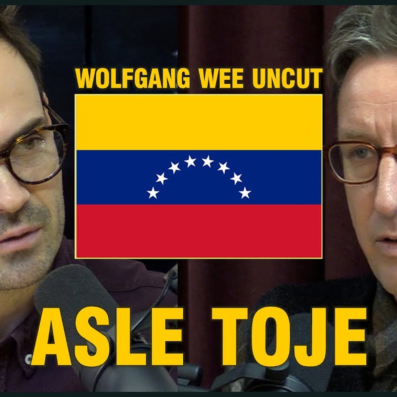 Asle Toje | Venezuela Spesial (Reprise fra 2021) | Hvordan Kunne Det Gå Så Galt? artwork