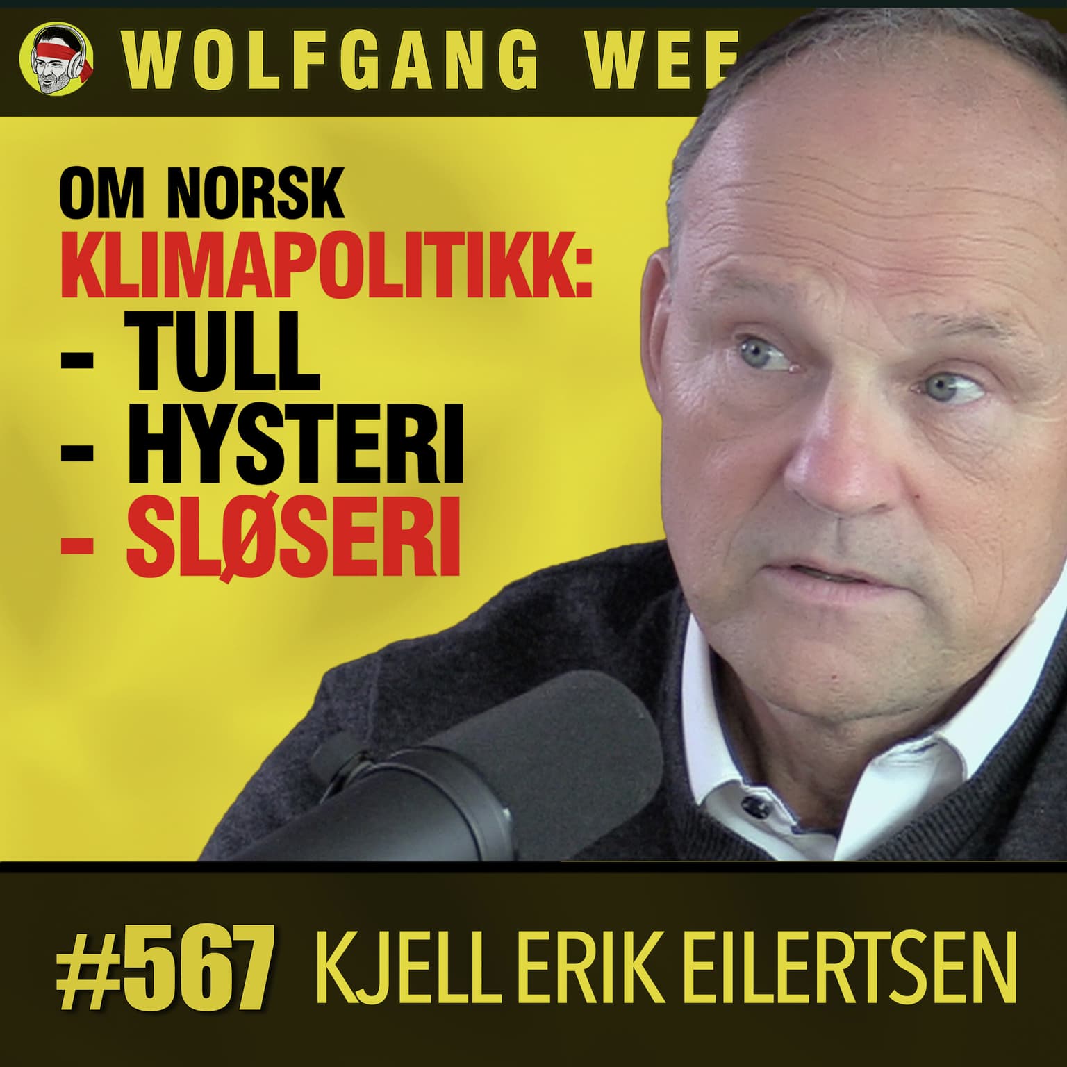 Kjell Erik Eilertsen | Klimapolitisk Sløseri, Skjult Beskatning, Vindkraft Øker Nettleien, Hybridkabler, Aktiv Næringspolitikk, Umulige Klimamål, ACER, Fornybar Norge, Formuesskatten, Strømprisene artwork