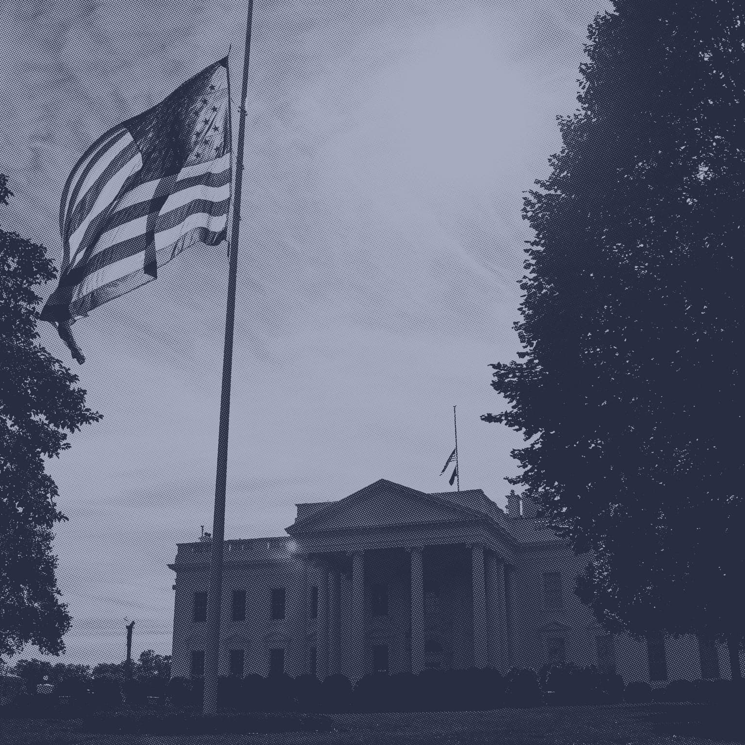 Federal agencies under Trump have been using white nationalist messages artwork