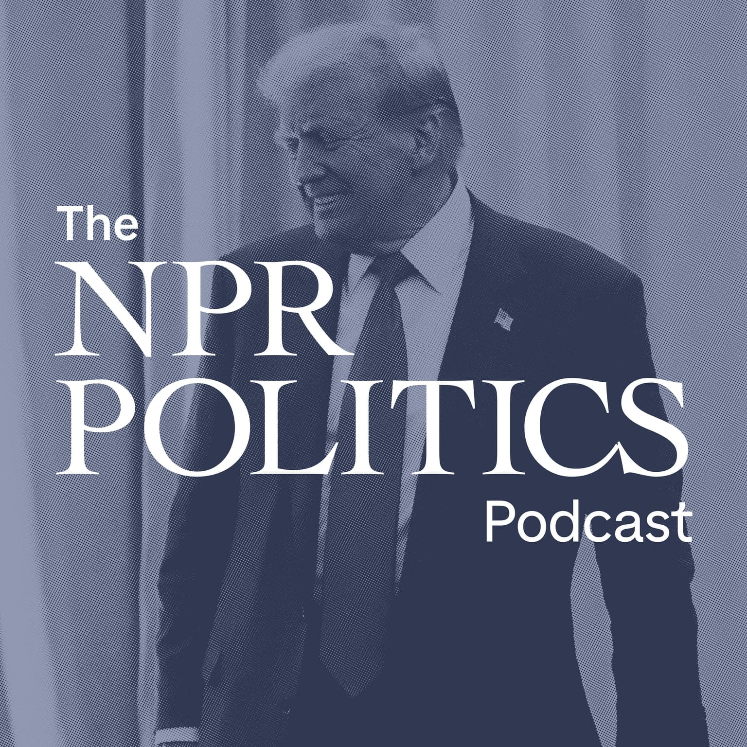 Trump Talks Tariffs, Immigration, Pardons artwork