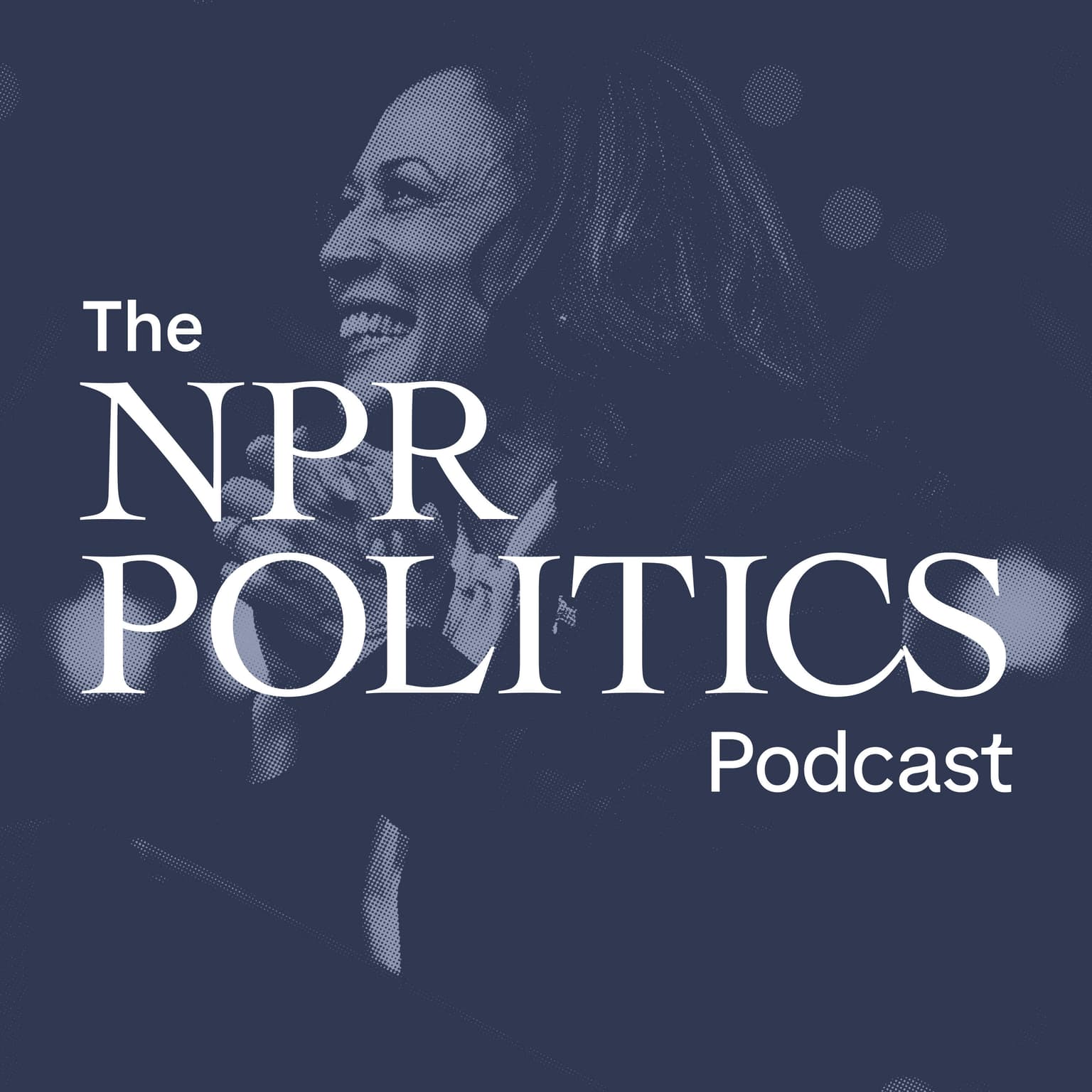Exploring Kamala Harris' Identity While Campaigning artwork