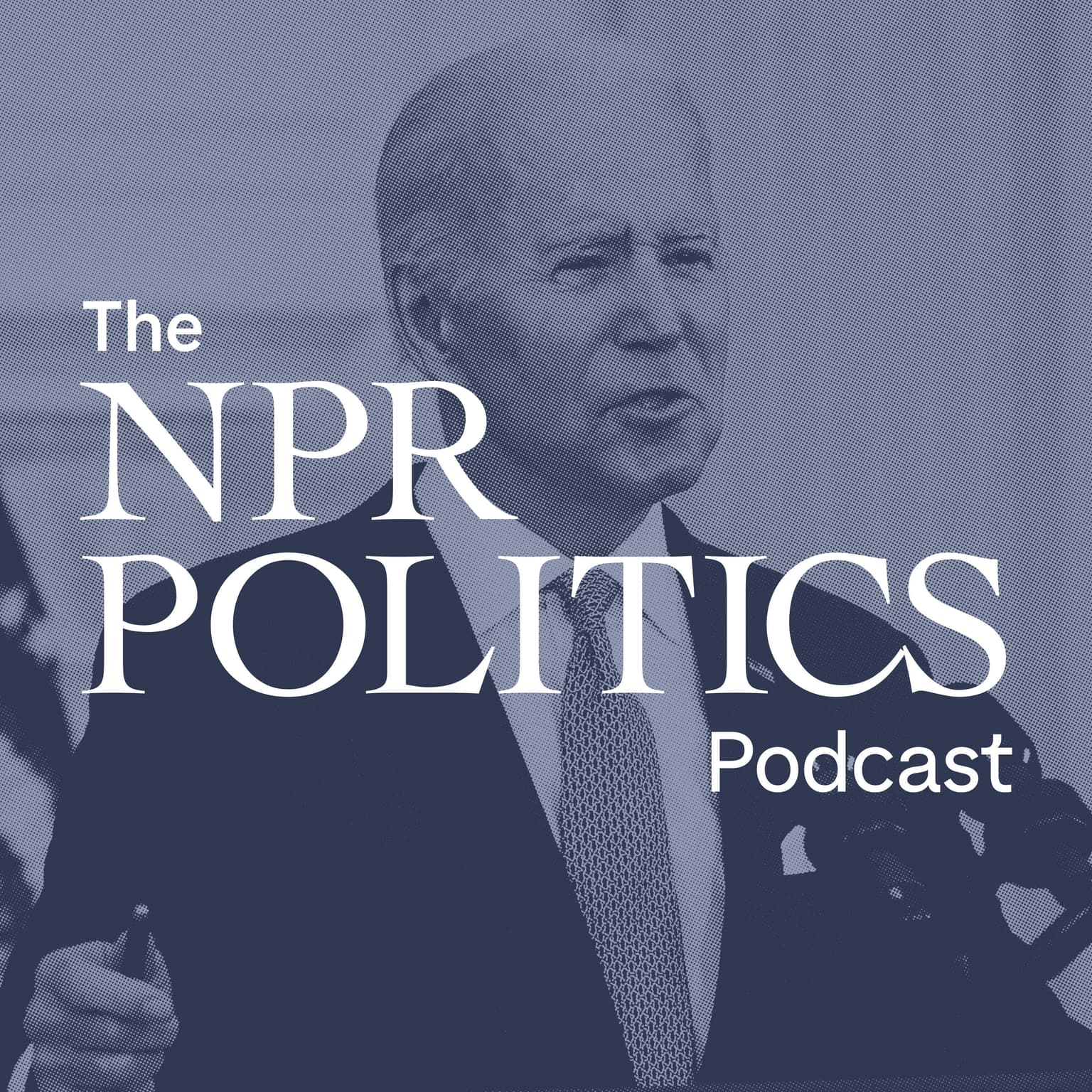 Joe Biden's Domestic Policy Legacy artwork