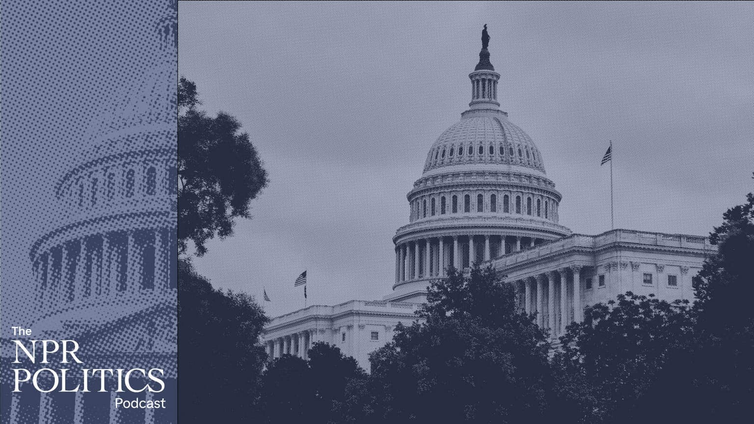 Congress And Trump Play Tug-Of-War Over The 'Power Of The Purse' artwork