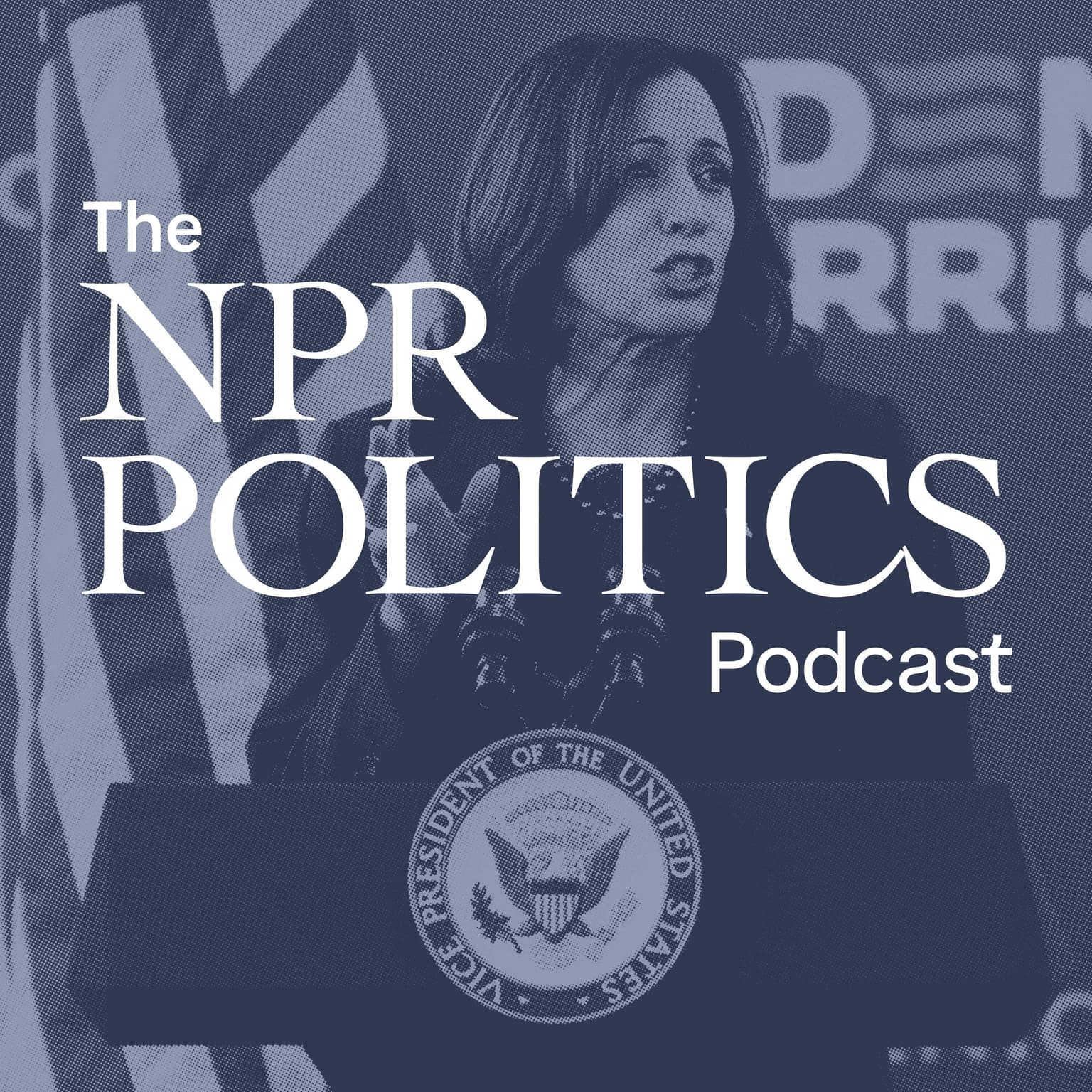 What Kamala Harris, 59, Brings To The Reelection Effort artwork