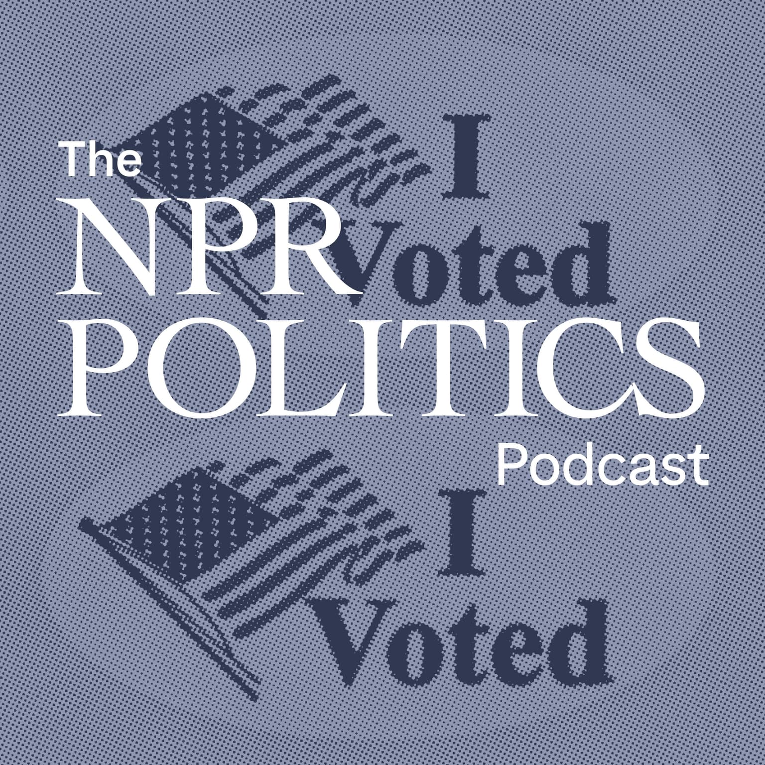 What's Driving People To — Or Away From — The Polls? artwork