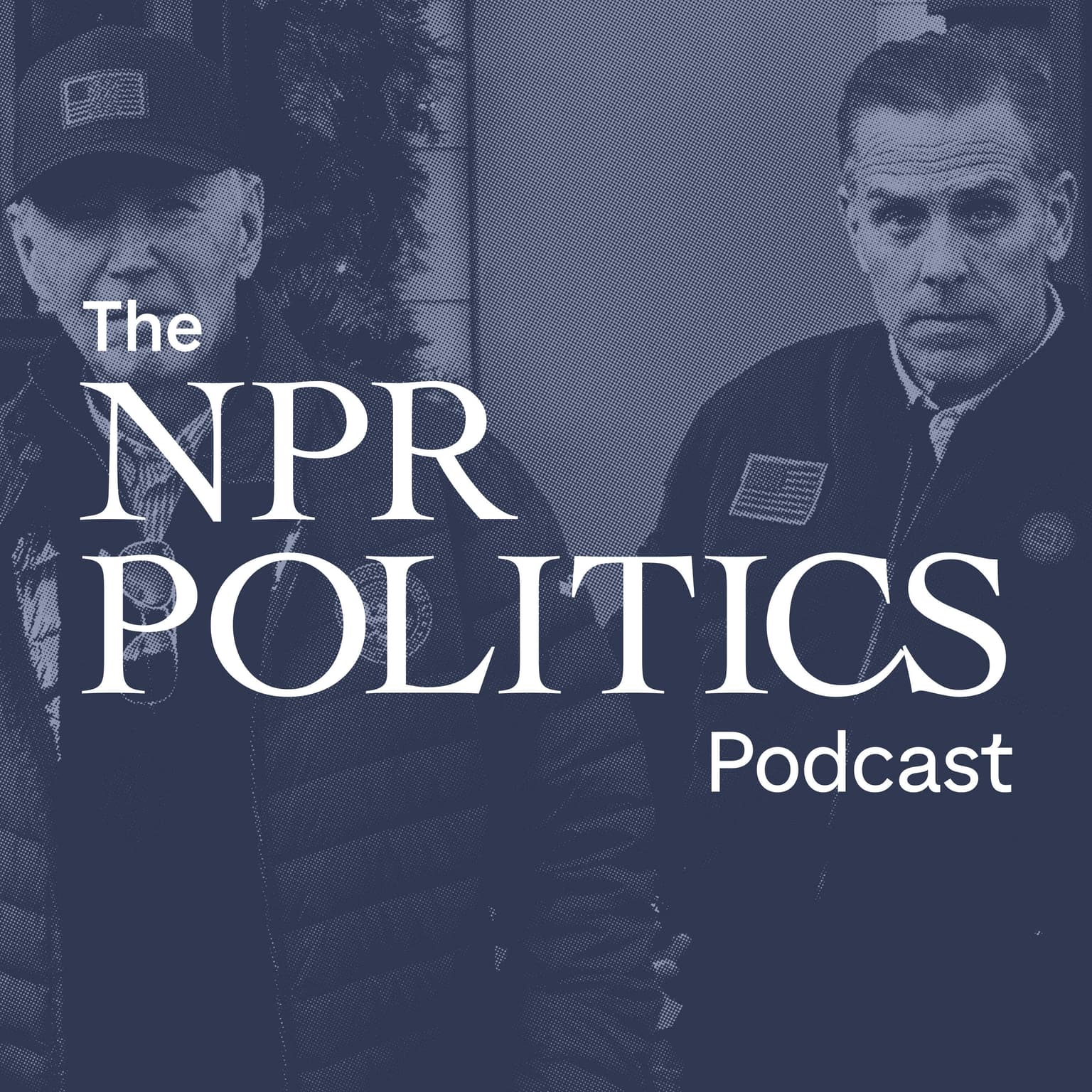 Hunter Biden Pardoned artwork
