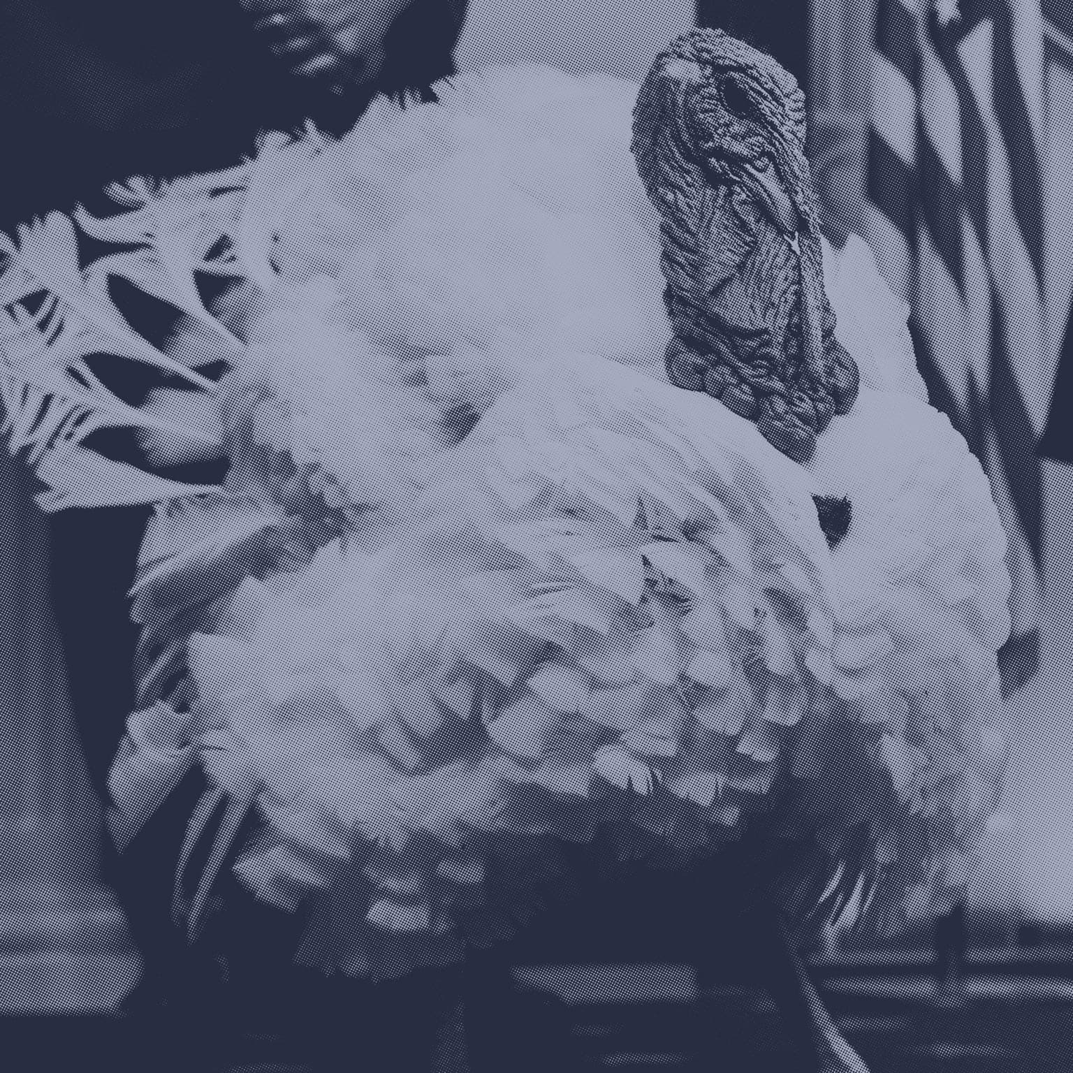How To Avoid Talking About Politics This Thanksgiving artwork