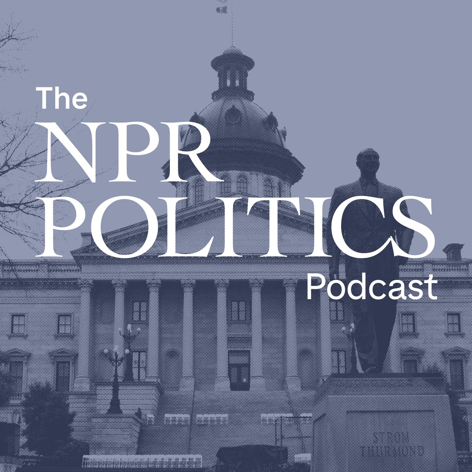 Biden Won South Carolina Primary. Does It Matter? artwork