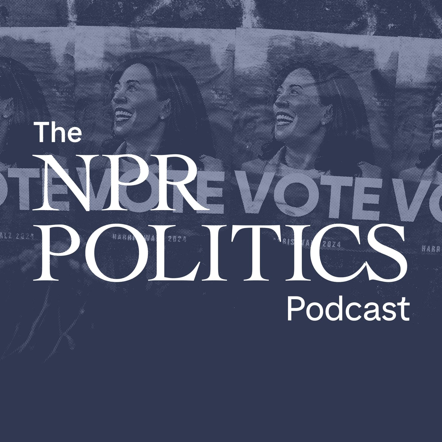 What Democratic Organizers Are Learning From 2024 artwork