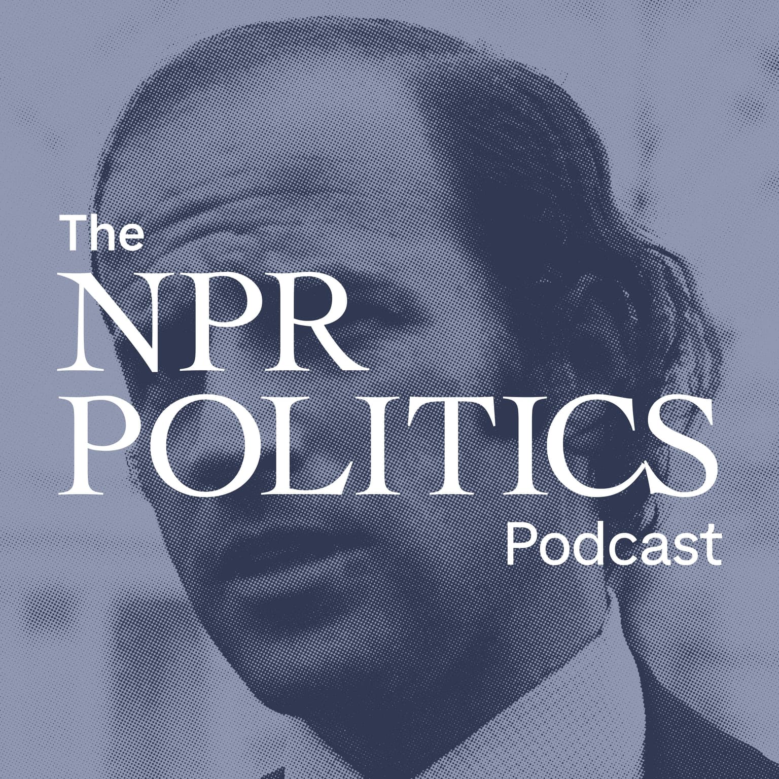 The Political Legacy Of Joe Biden artwork