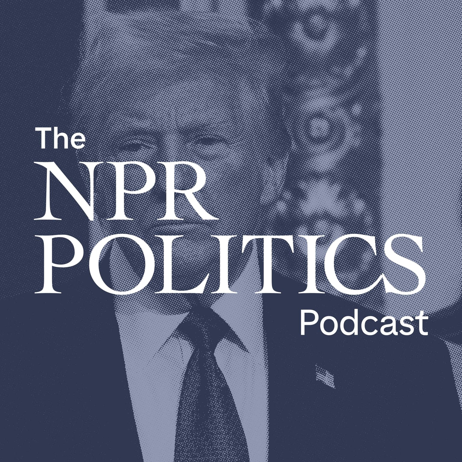 Donald Trump's Domestic Policy Agenda artwork