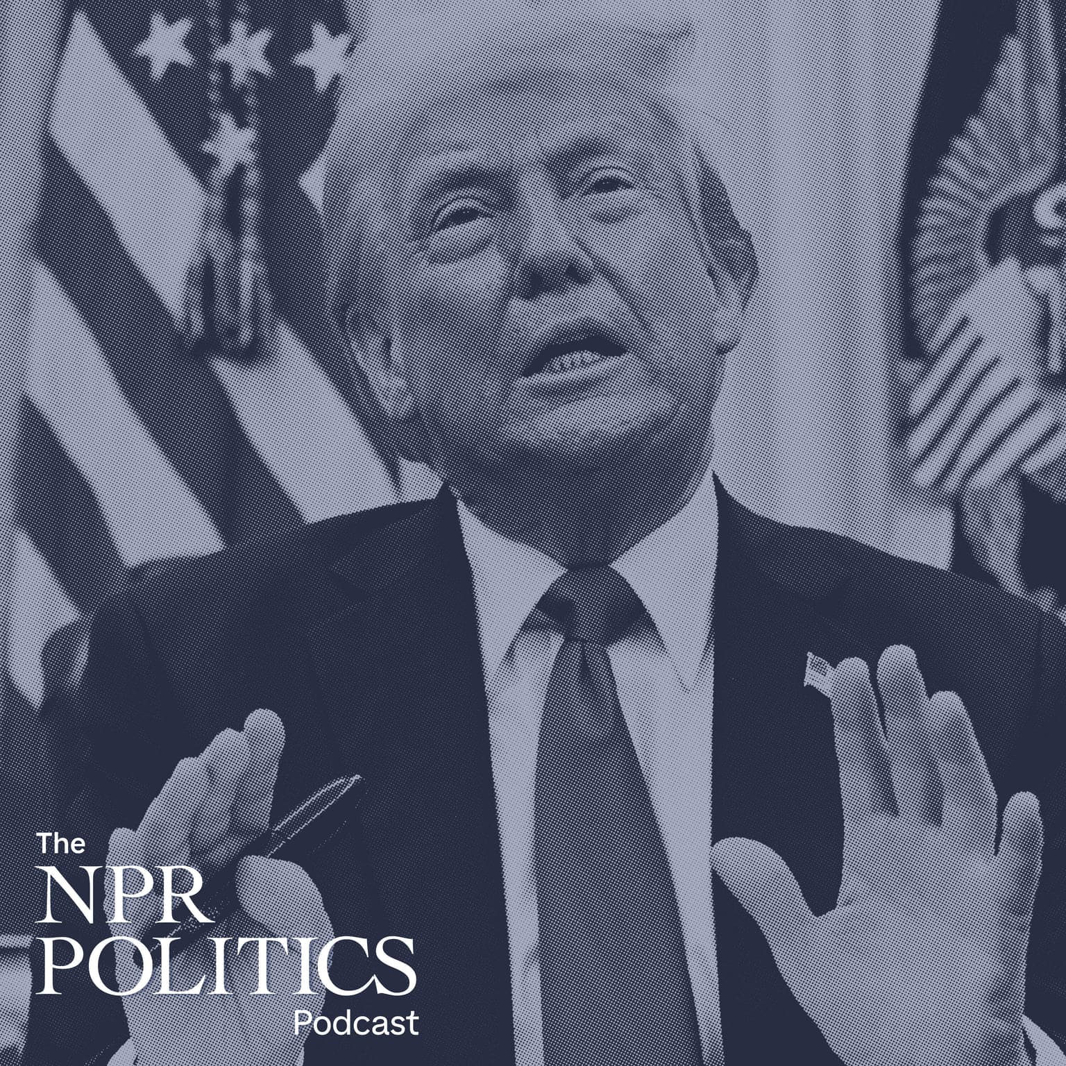 Trump & Presidential Term Limits artwork