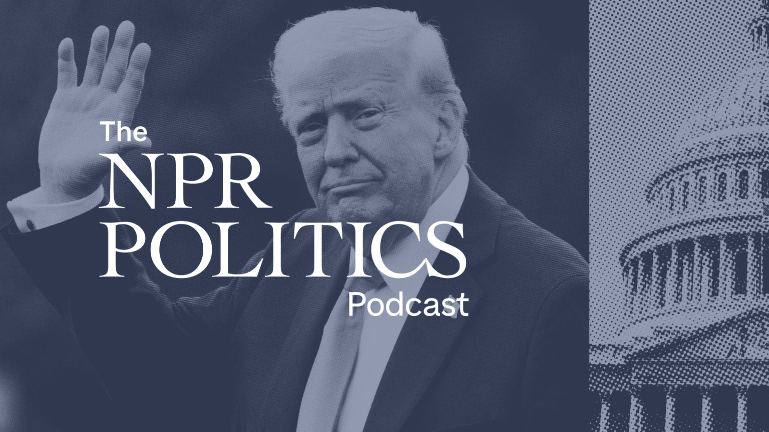 Weekly Roundup: Tariffs, Texts & Turtles artwork