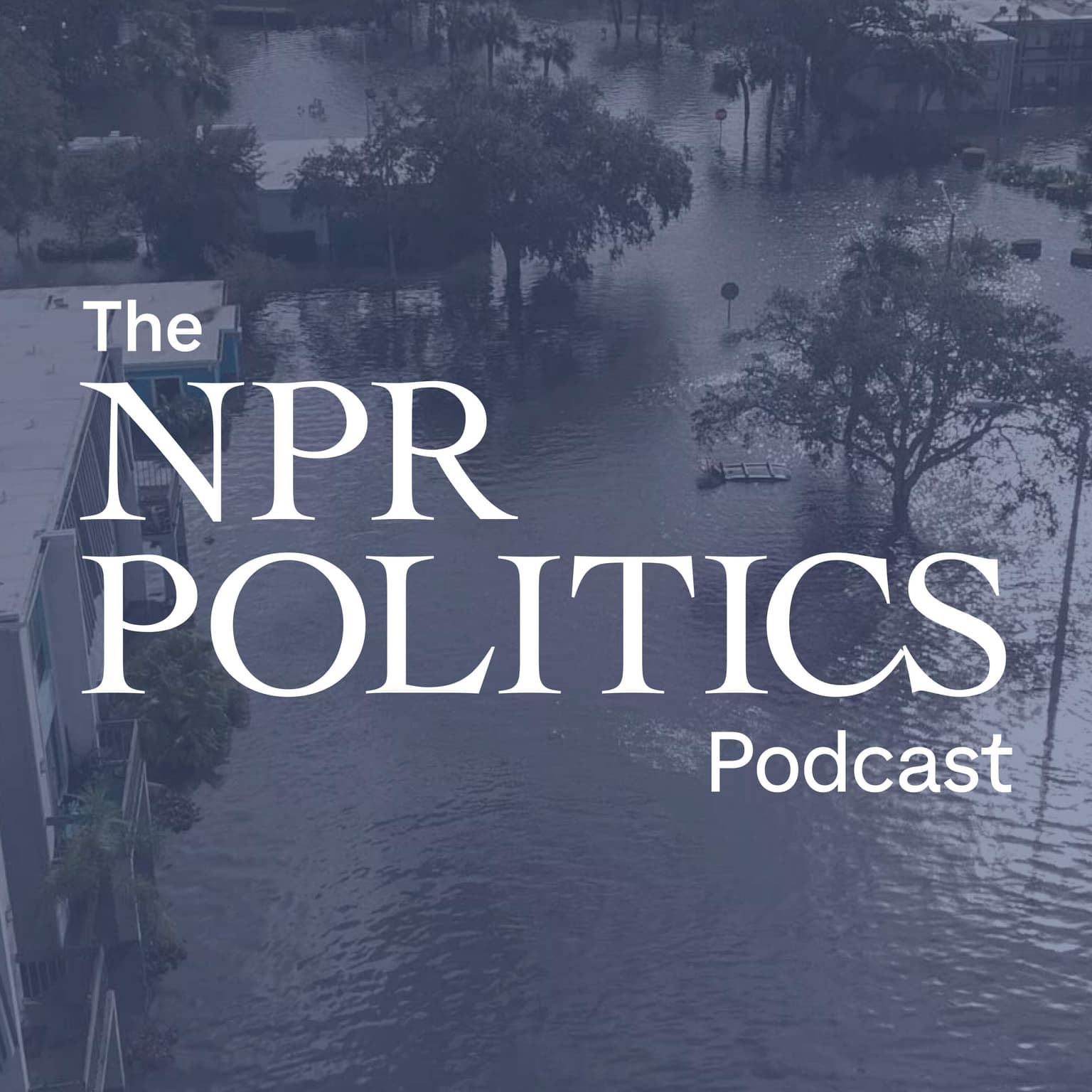 The politics of natural disasters artwork