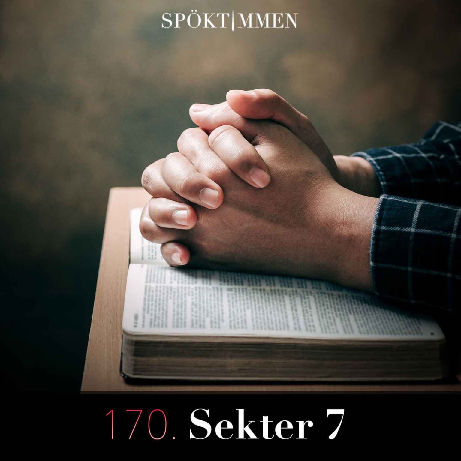 170. Sekter 7 artwork