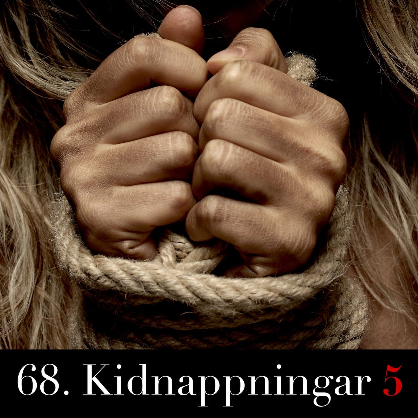 68. Kidnappningar 5 artwork