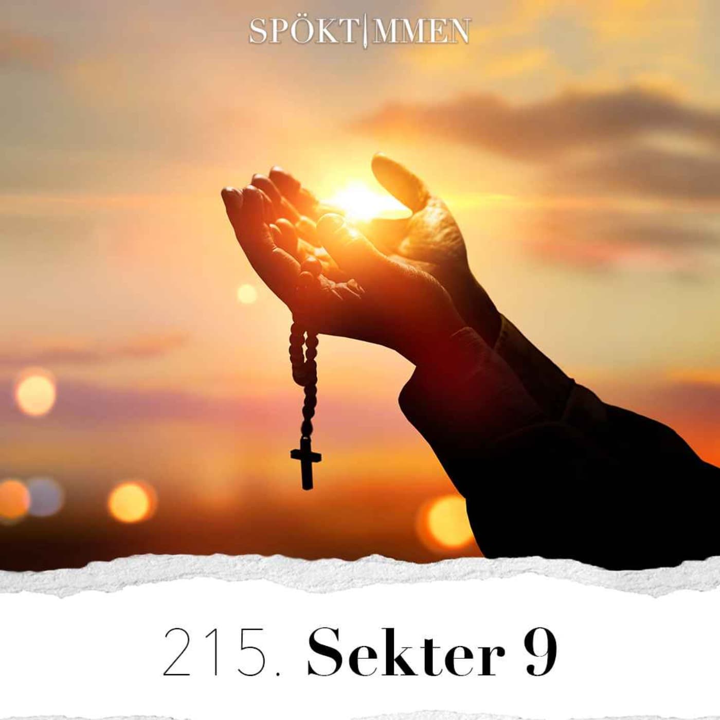 215. Sekter 9 artwork