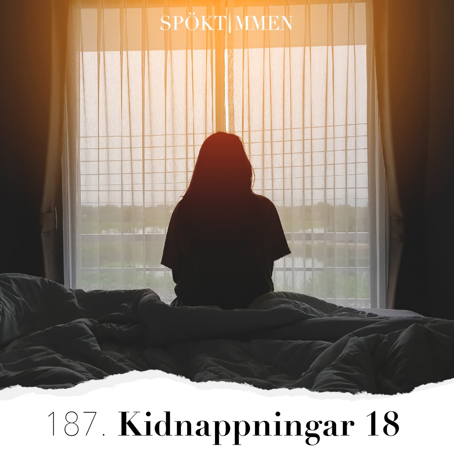 187. Kidnappningar 18 artwork