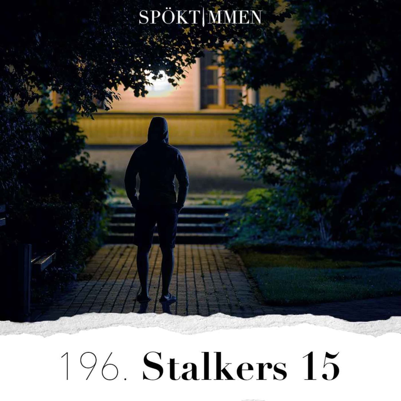 196. Stalkers 15 artwork
