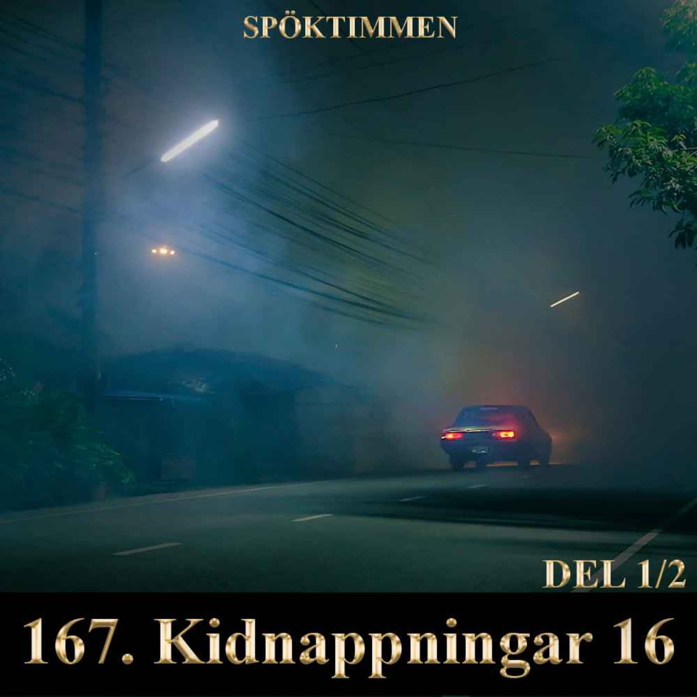 167. Kidnappningar 16 – Del 1 artwork
