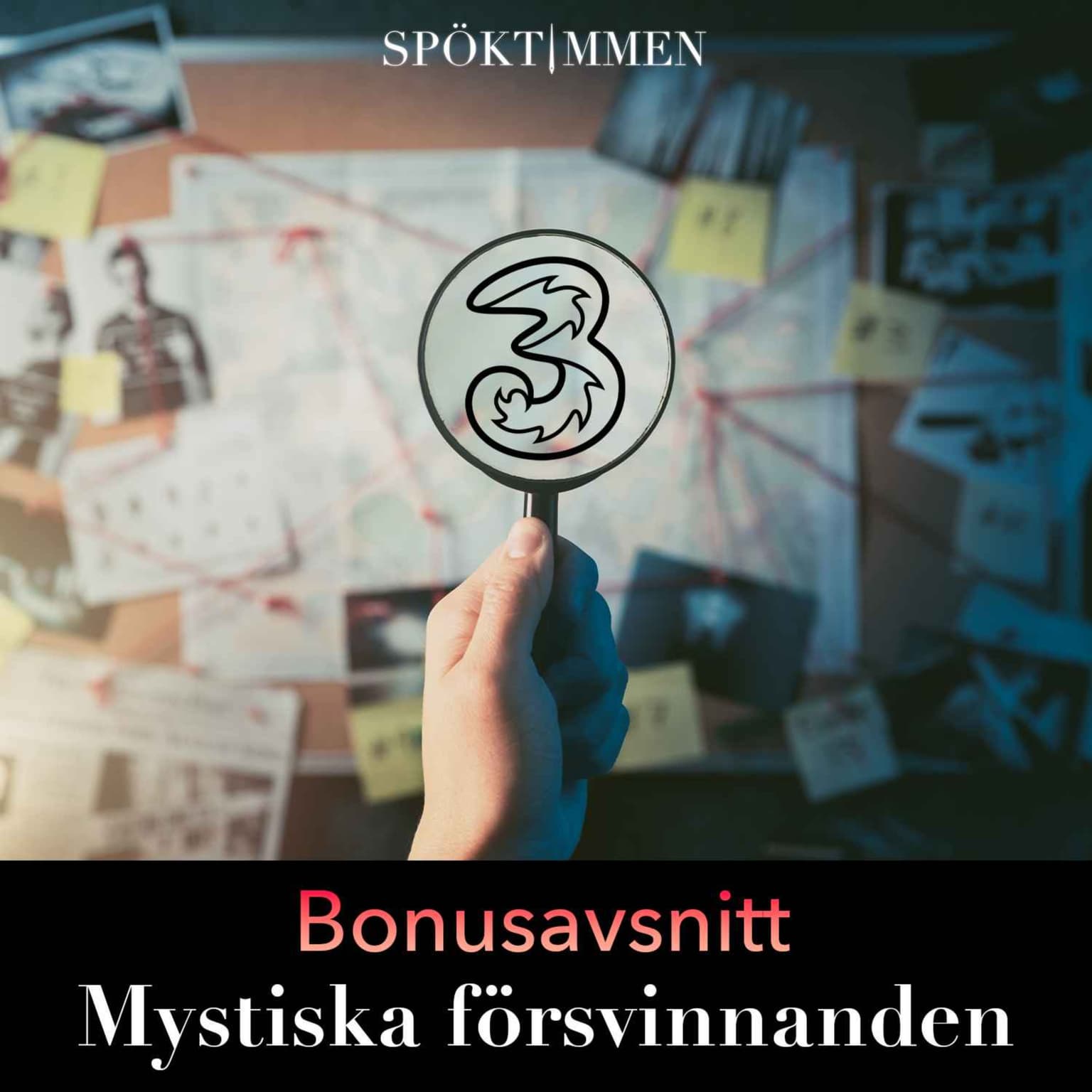 BONUS: Mystiska försvinnanden 8 artwork