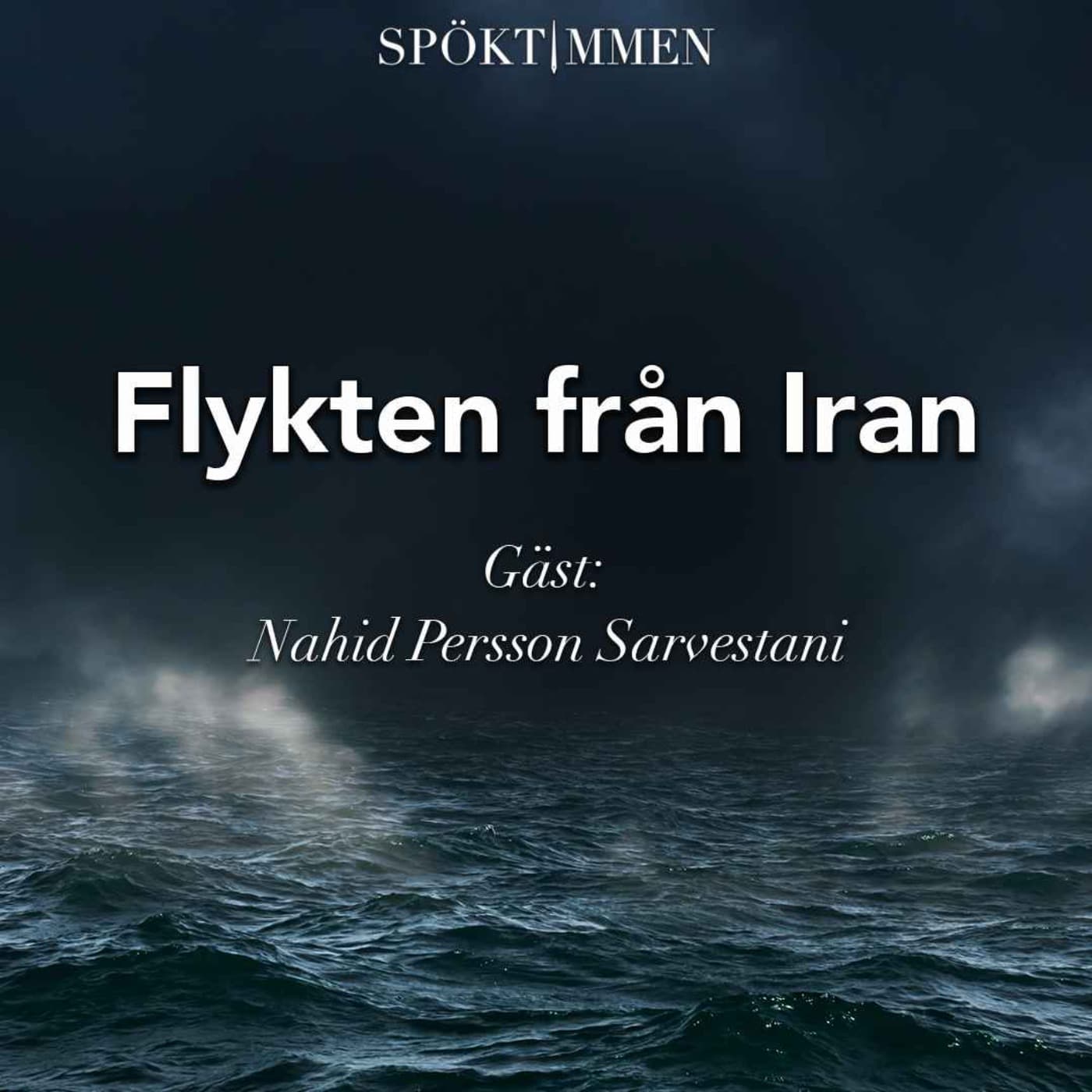 Flykten från Iran | Gäst: Nahid Persson Sarvestani artwork