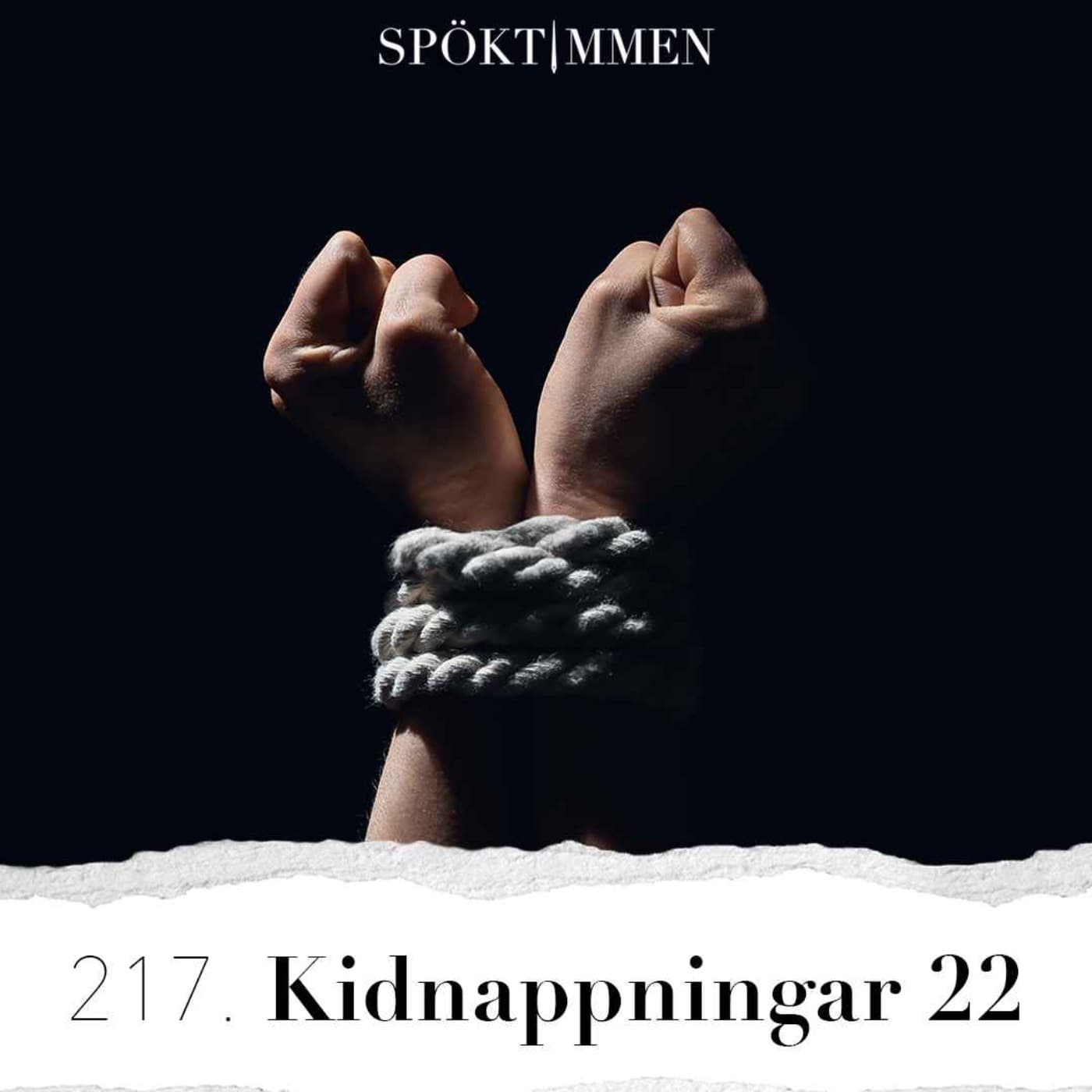 217. Kidnappningar 22 artwork