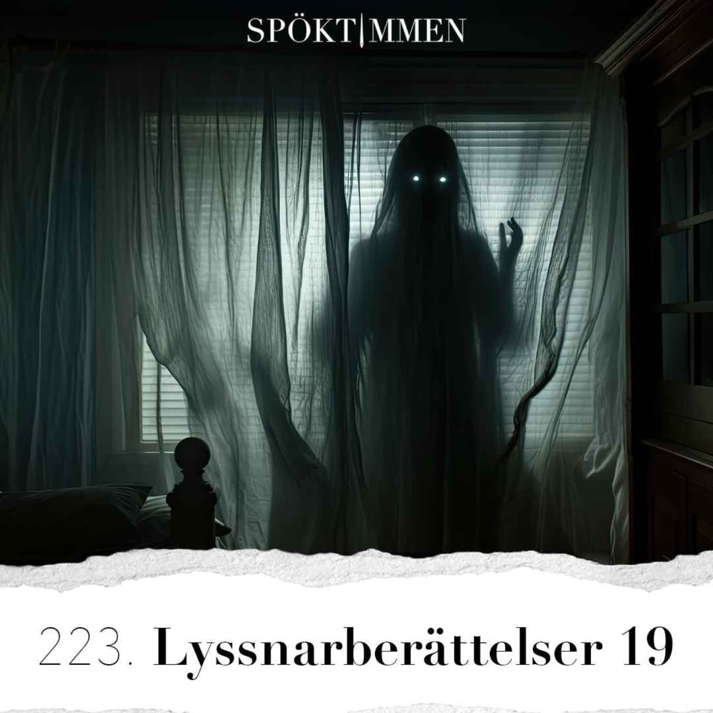 223. Lyssnarberättelser 19 artwork