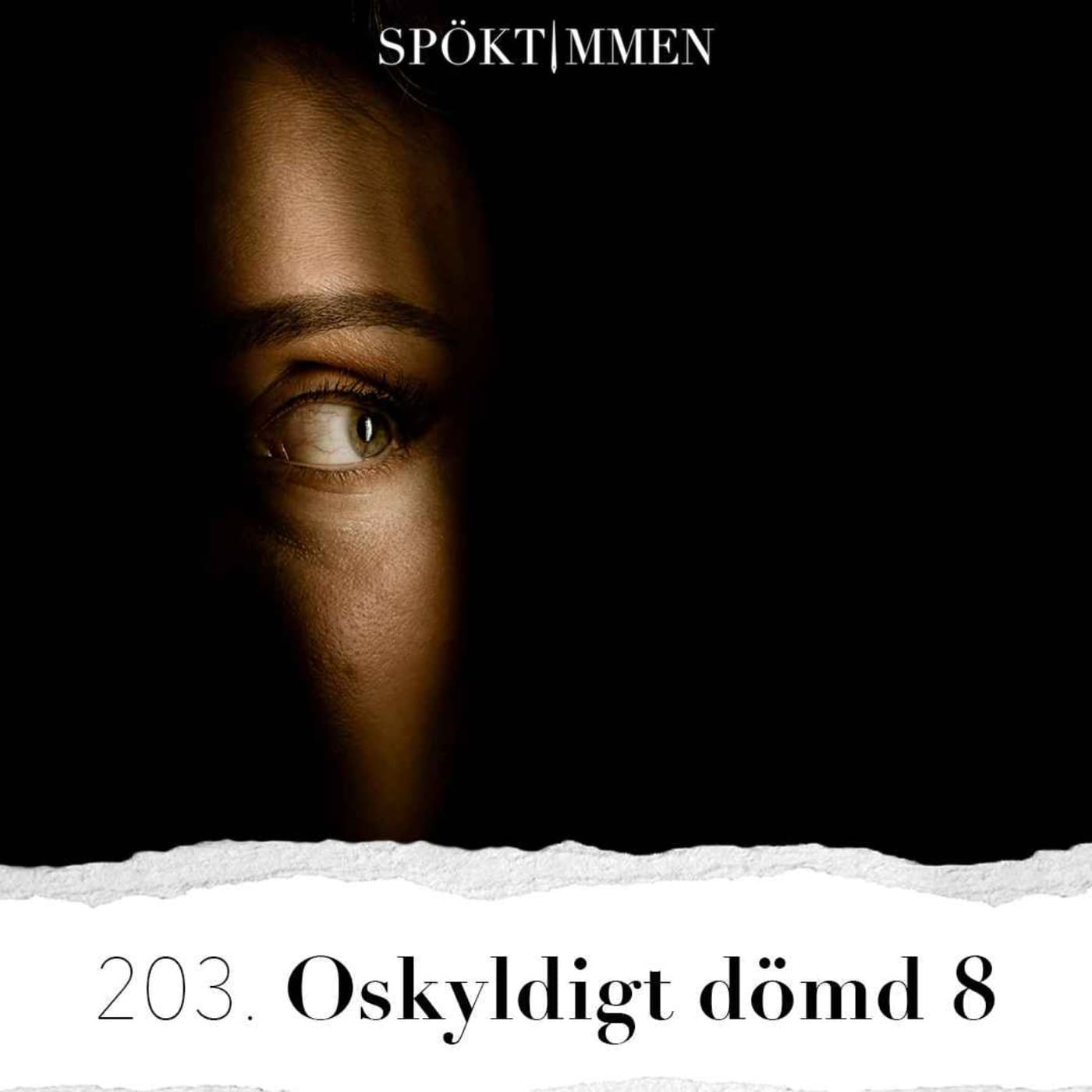 203. Oskyldigt dömd 8 artwork