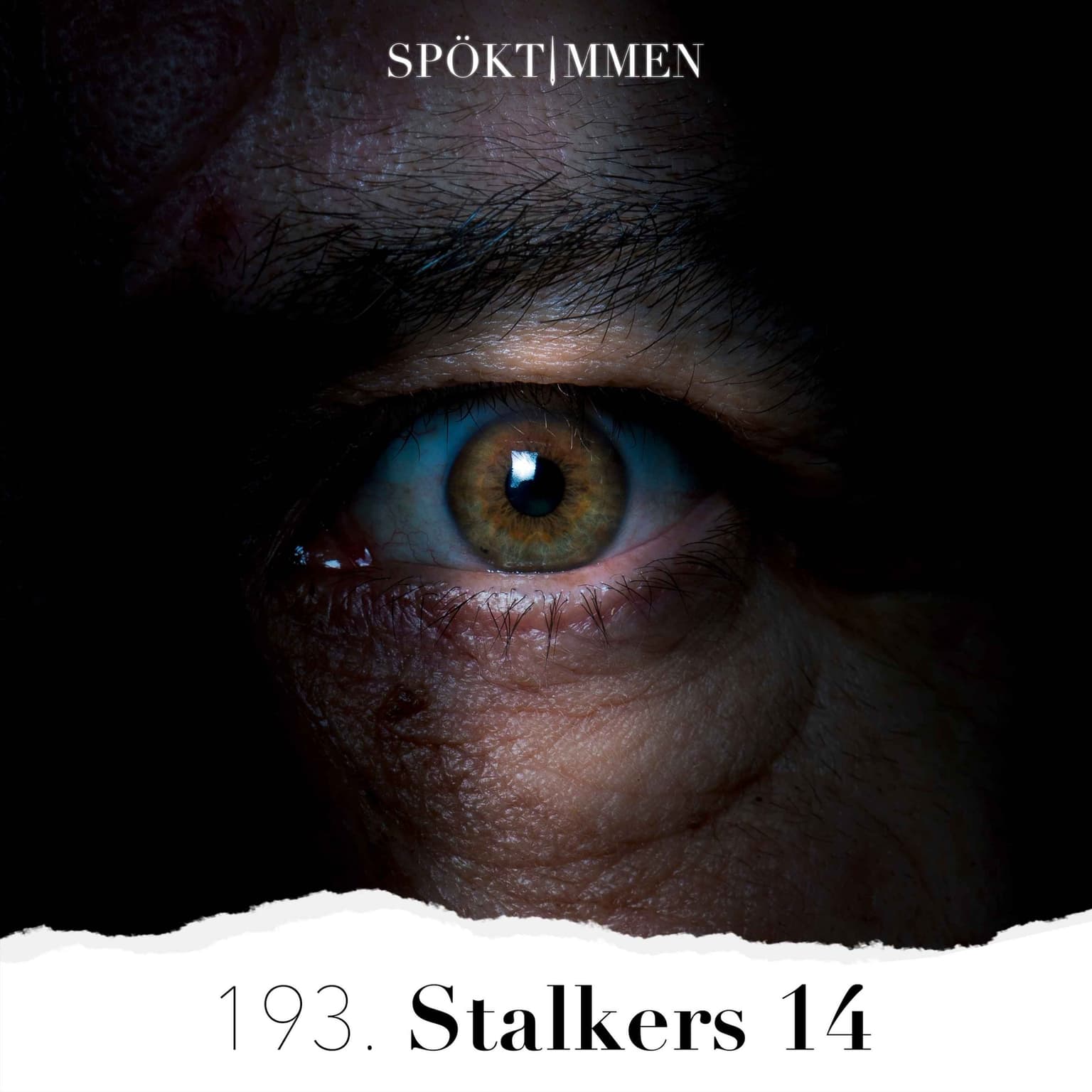 193. Stalkers 14 artwork